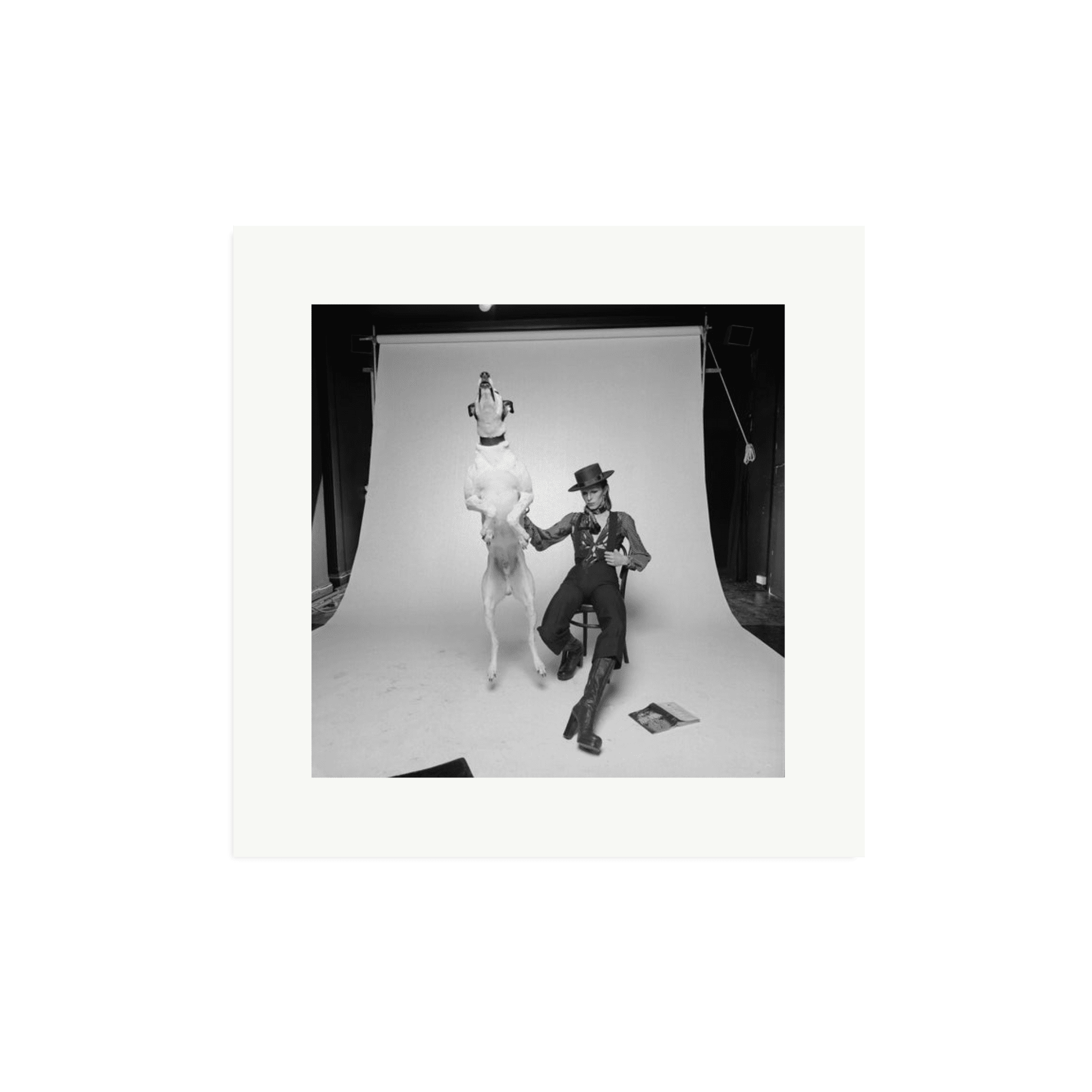David Bowie Diamond Dog - Paranoid Ranch