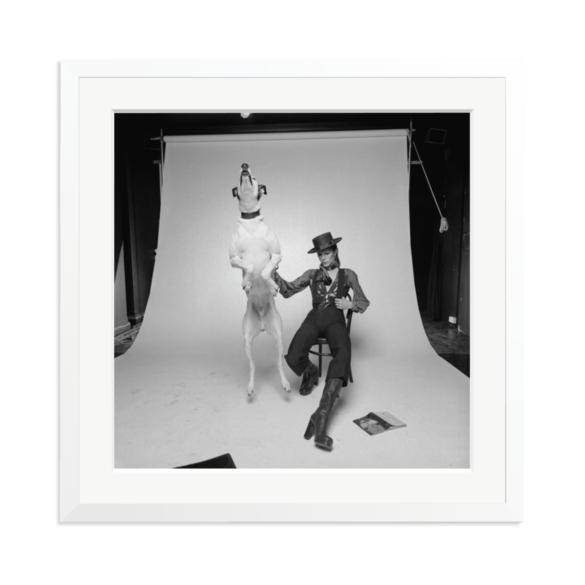 David Bowie Diamond Dog - Paranoid Ranch