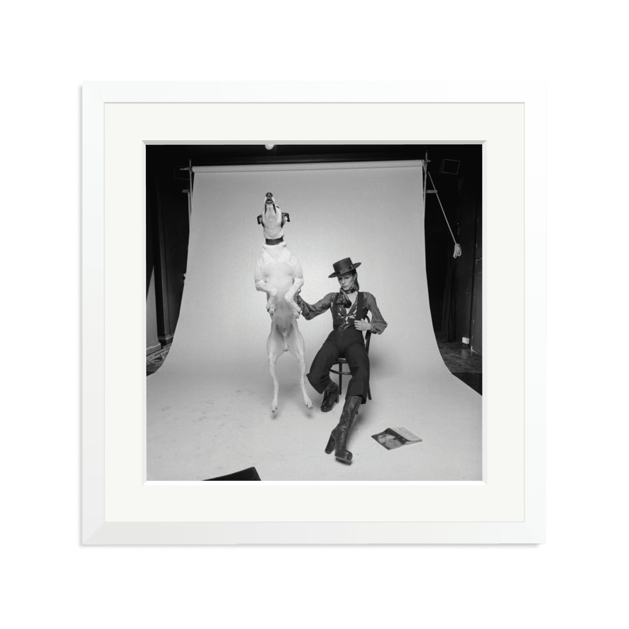 David Bowie Diamond Dog - Paranoid Ranch