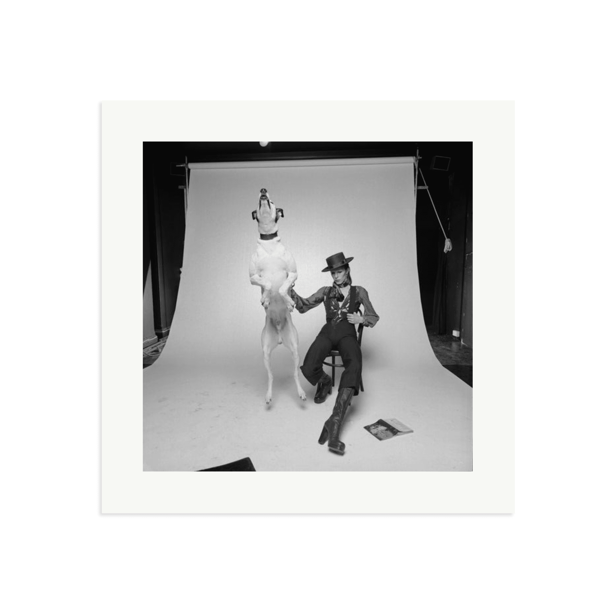 David Bowie Diamond Dog - Paranoid Ranch