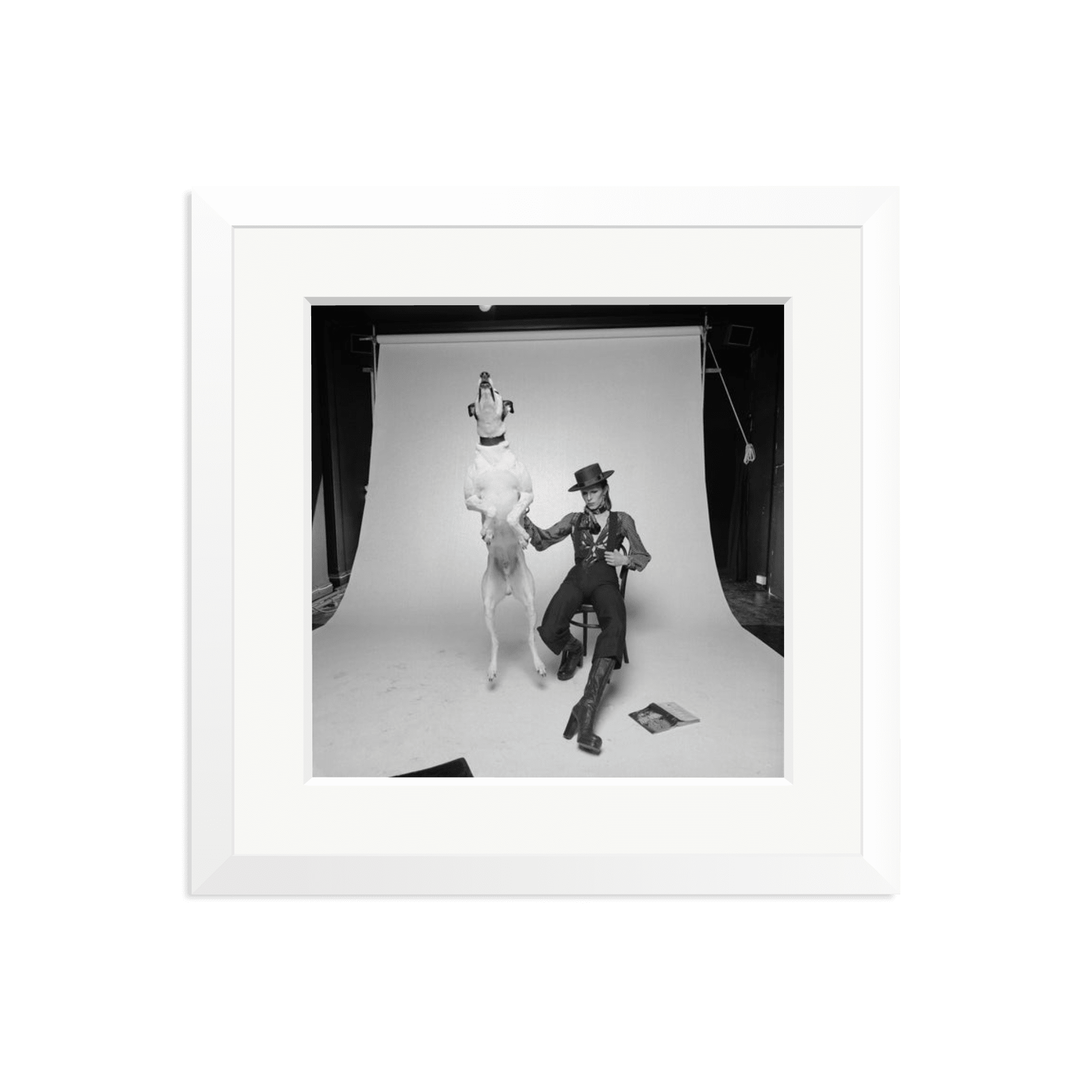 David Bowie Diamond Dog - Paranoid Ranch