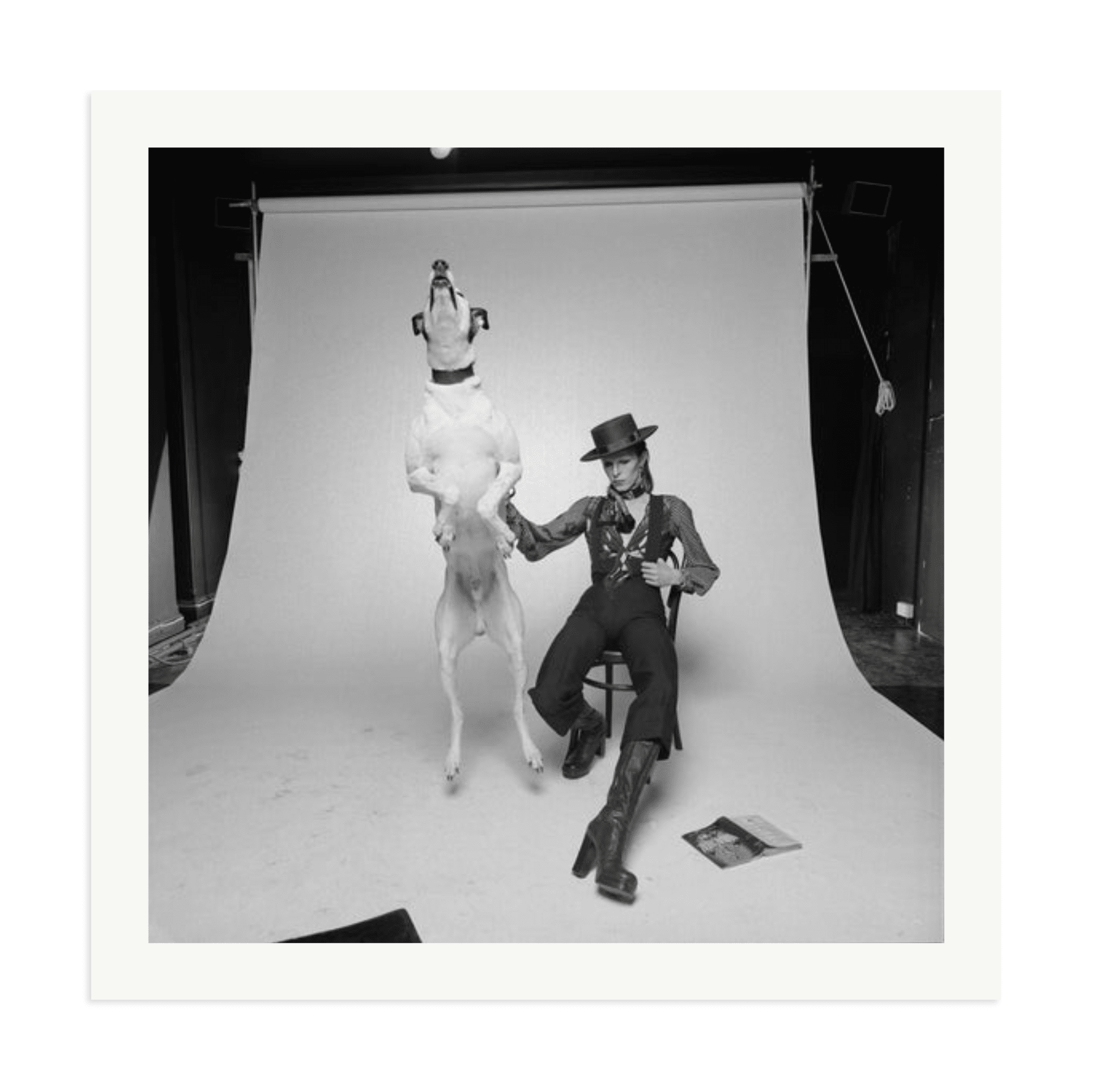 David Bowie Diamond Dog - Paranoid Ranch