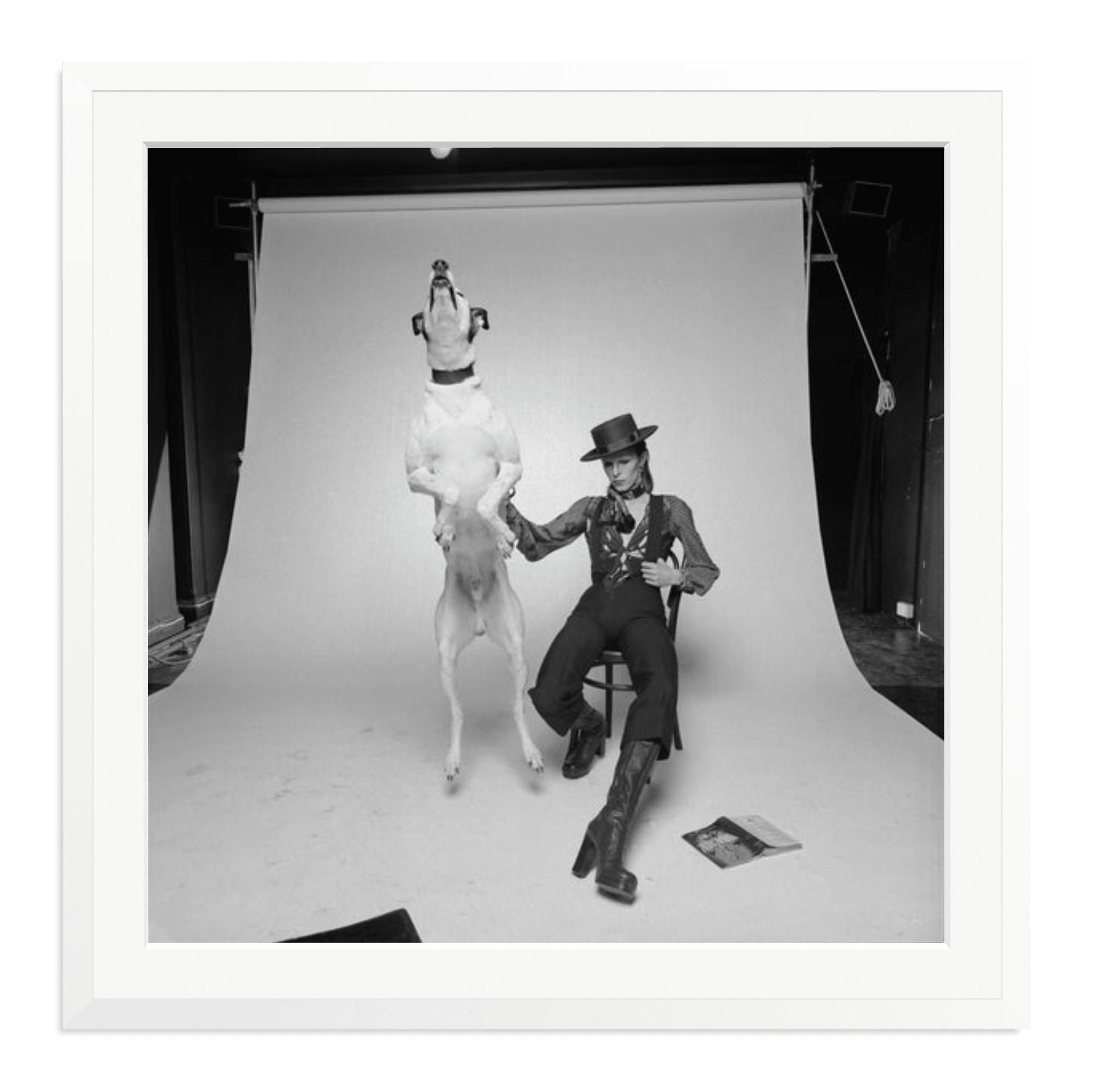 David Bowie Diamond Dog - Paranoid Ranch
