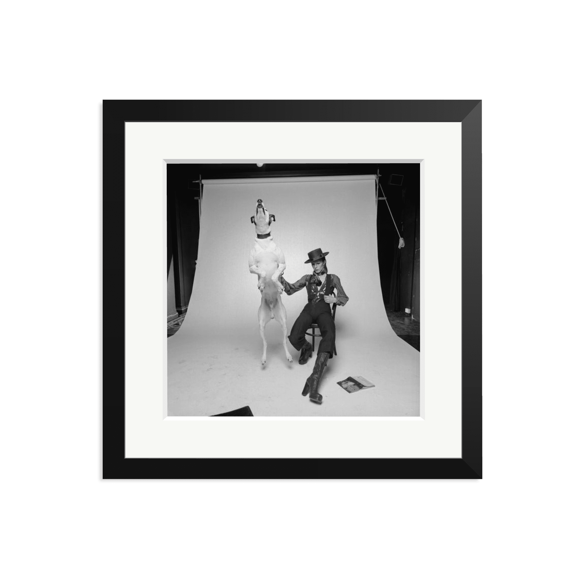 David Bowie Diamond Dog - Paranoid Ranch
