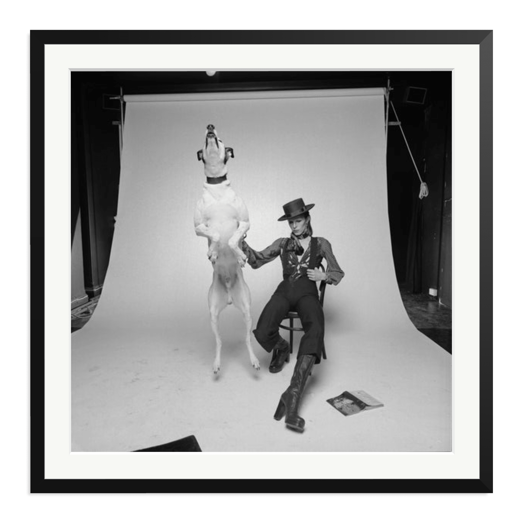 David Bowie Diamond Dog - Paranoid Ranch