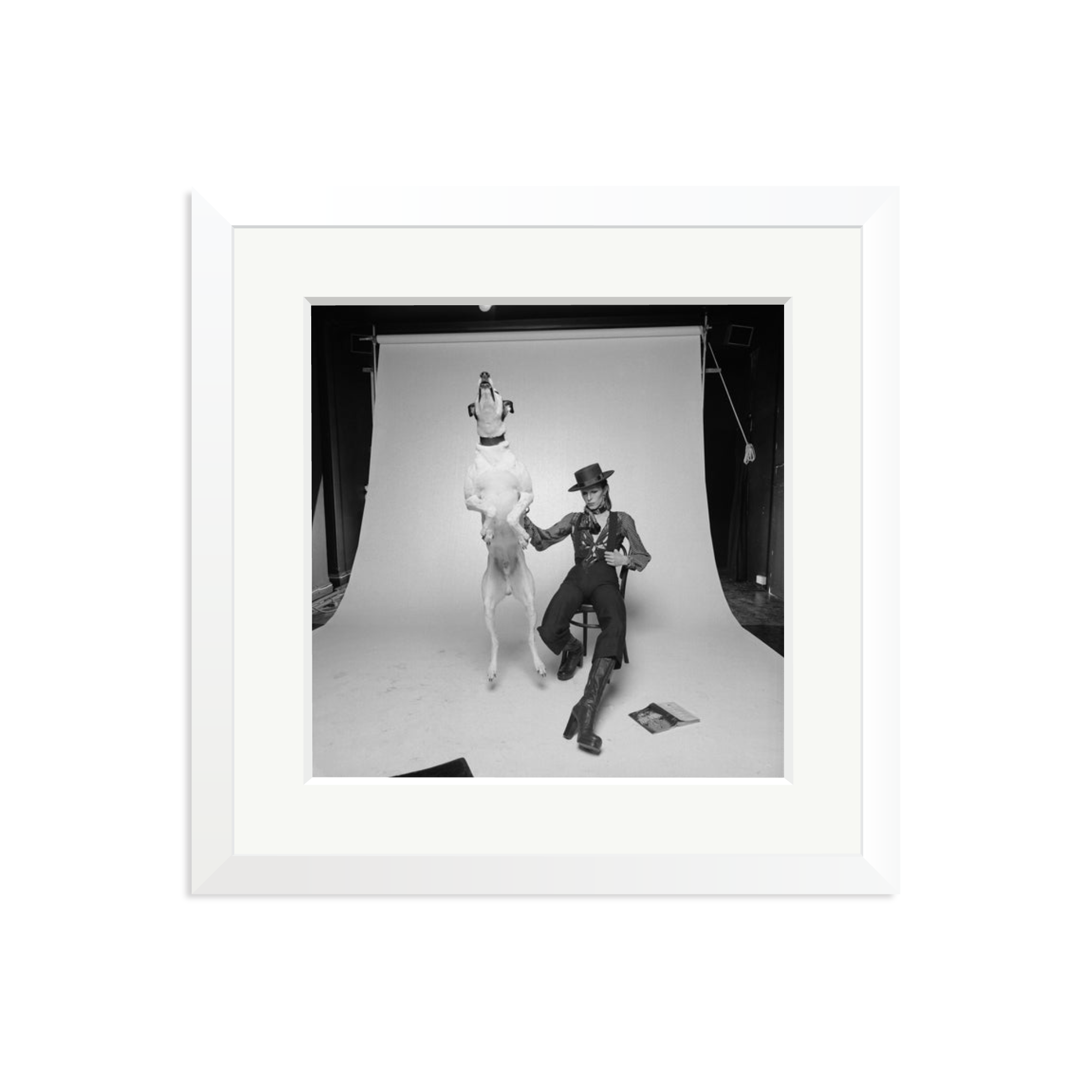 David Bowie Diamond Dog