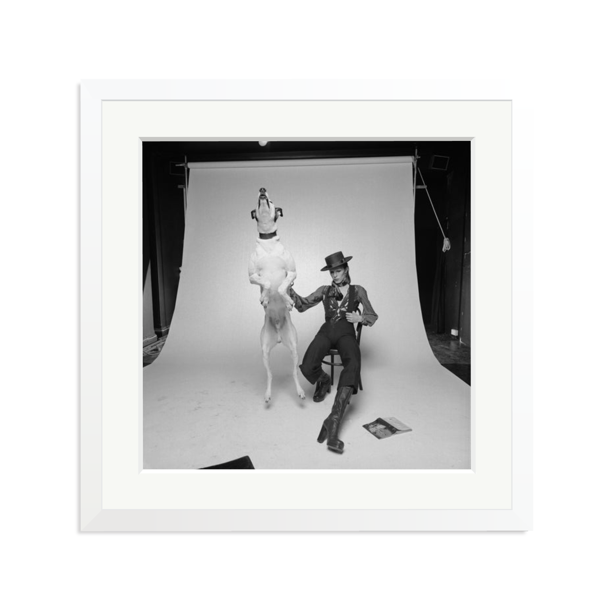 David Bowie Diamond Dog