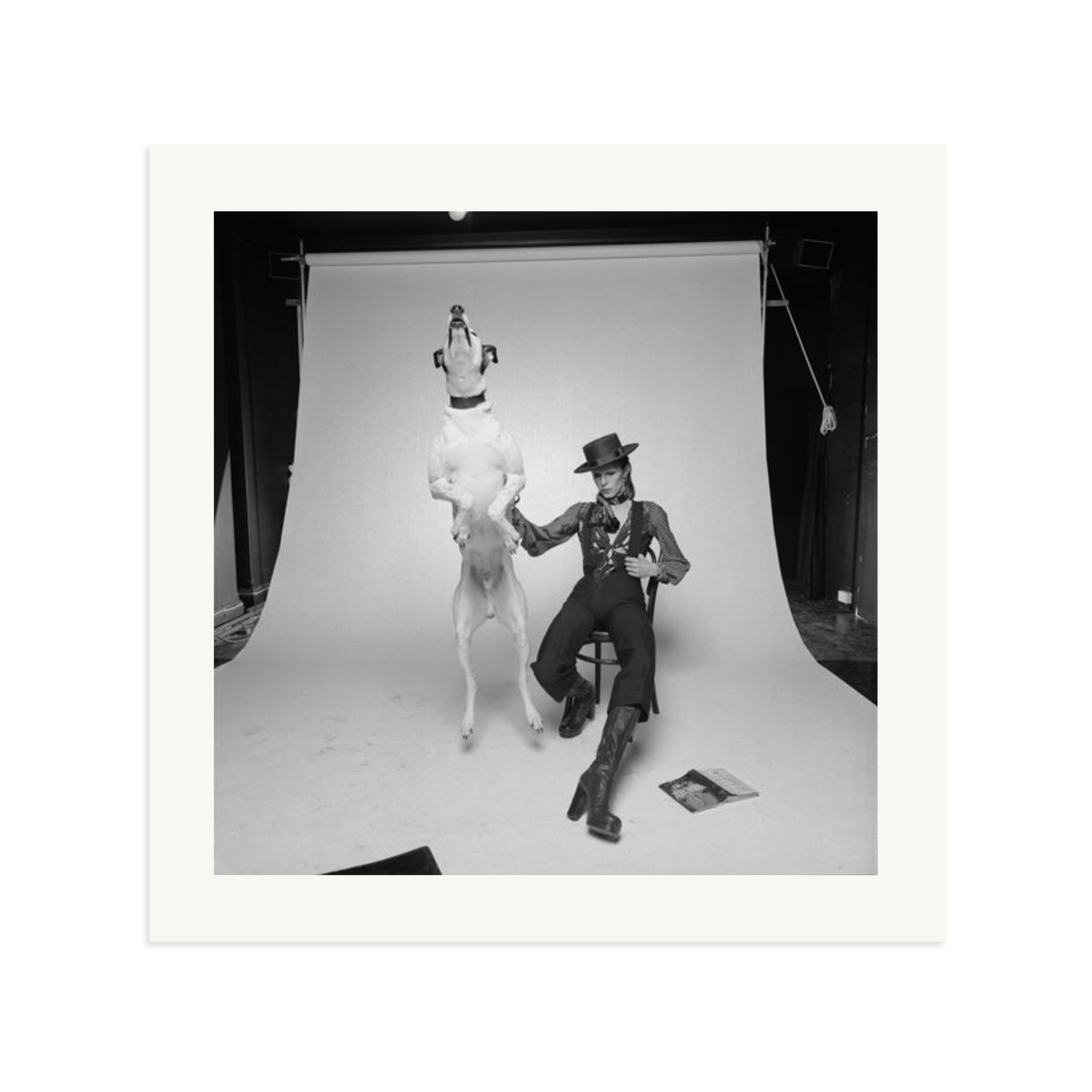 David Bowie Diamond Dog