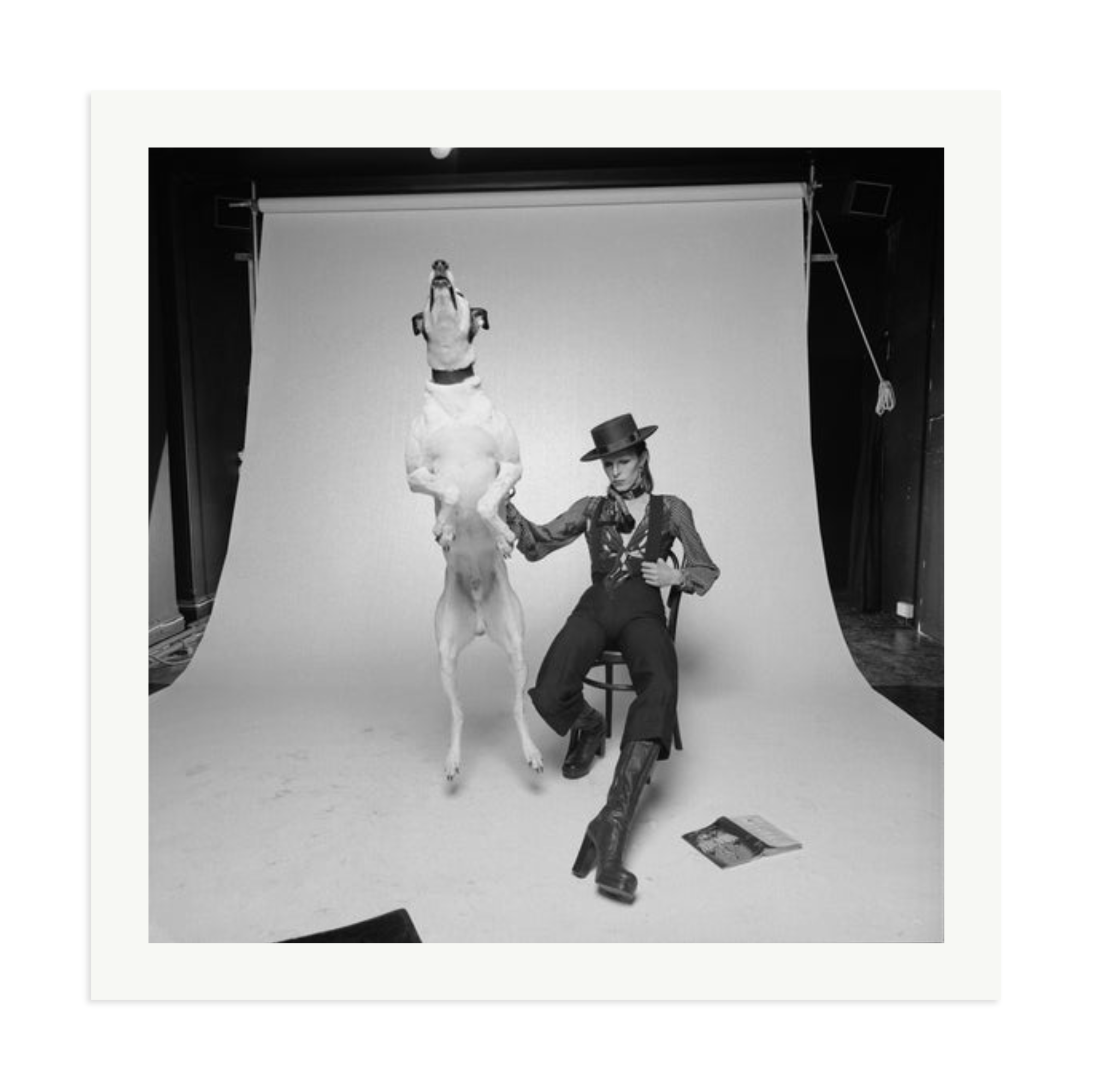 David Bowie Diamond Dog