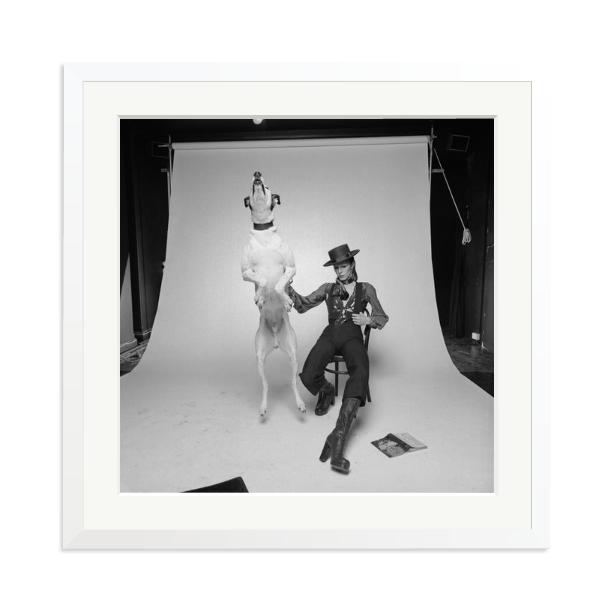 David Bowie Diamond Dog