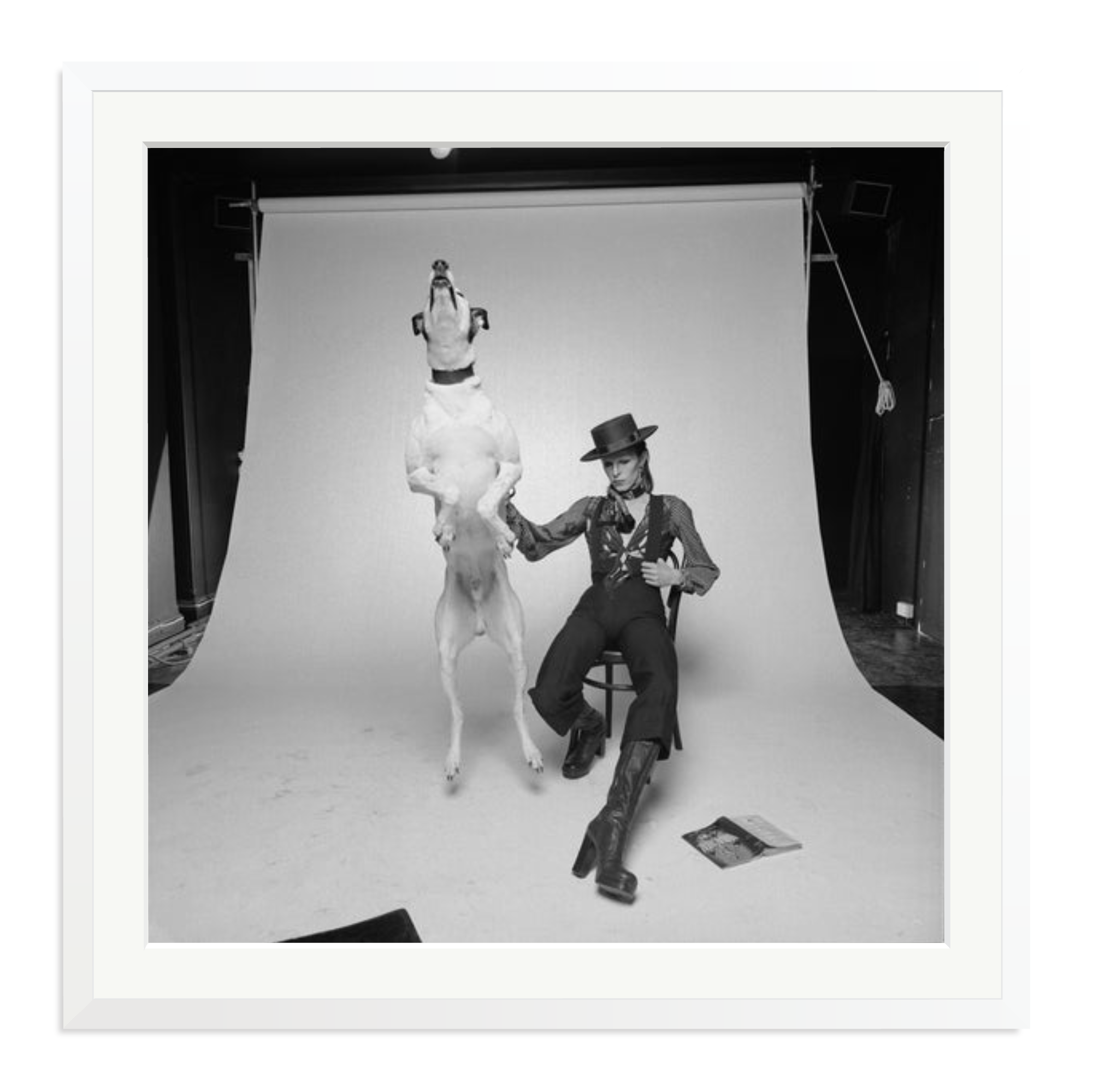 David Bowie Diamond Dog