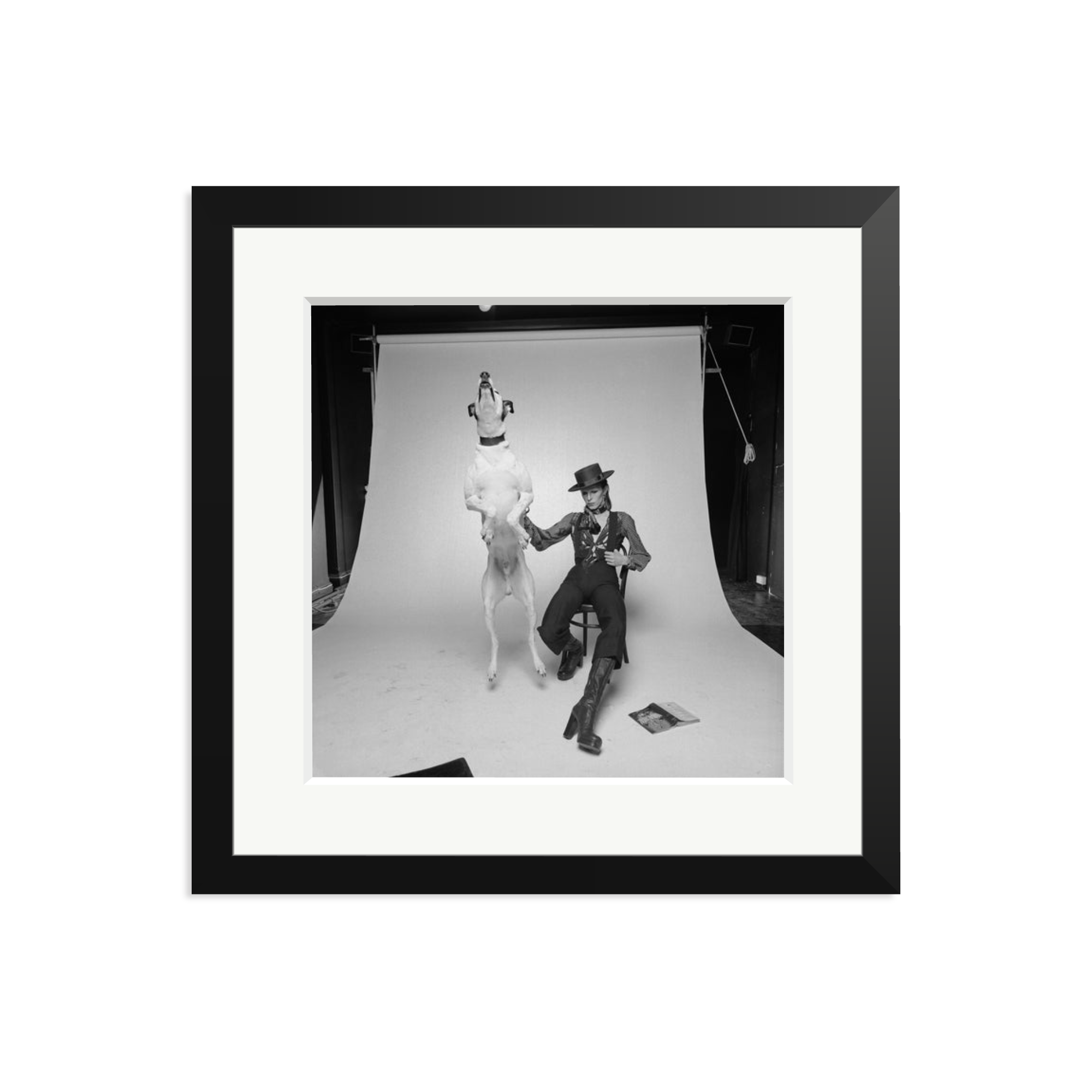 David Bowie Diamond Dog