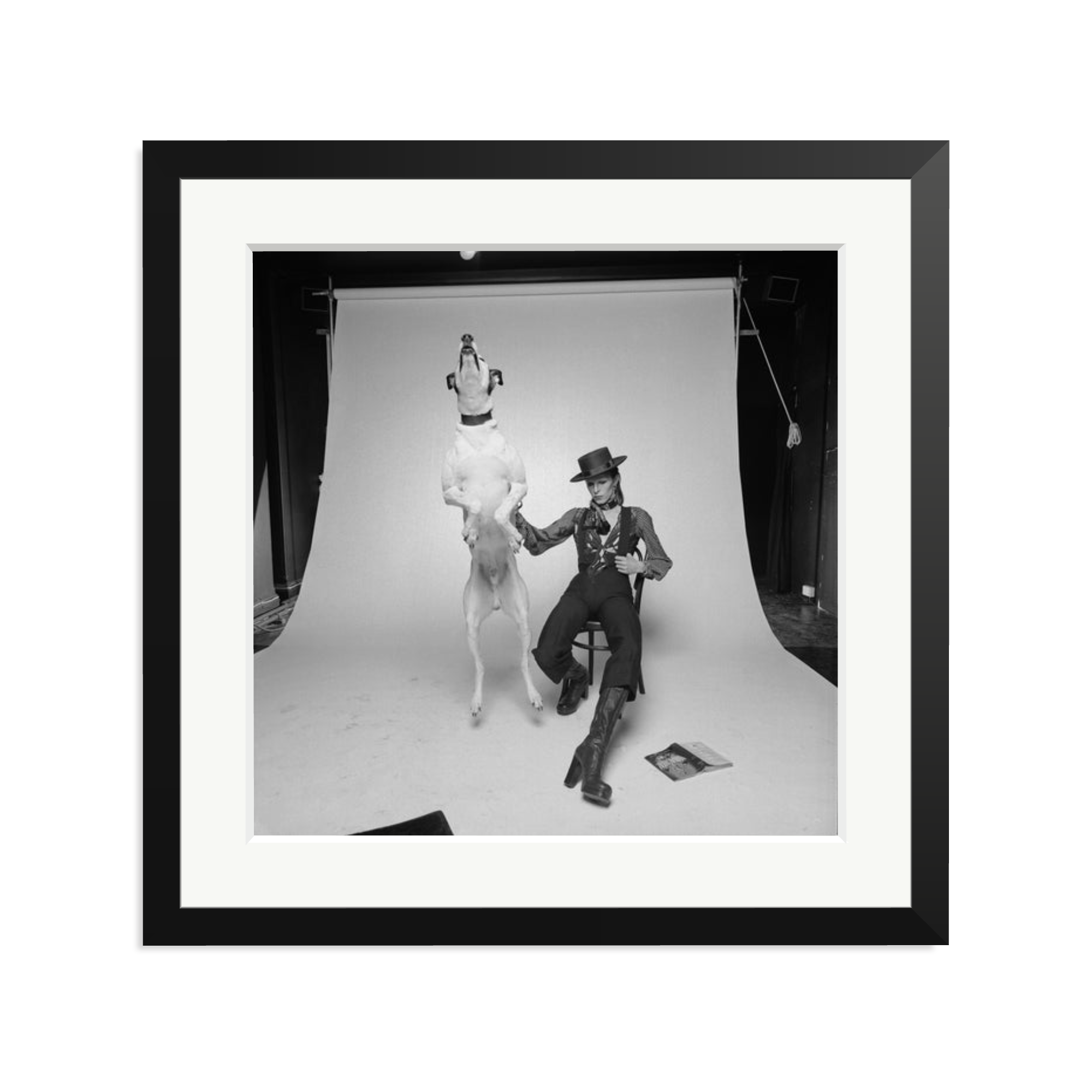 David Bowie Diamond Dog