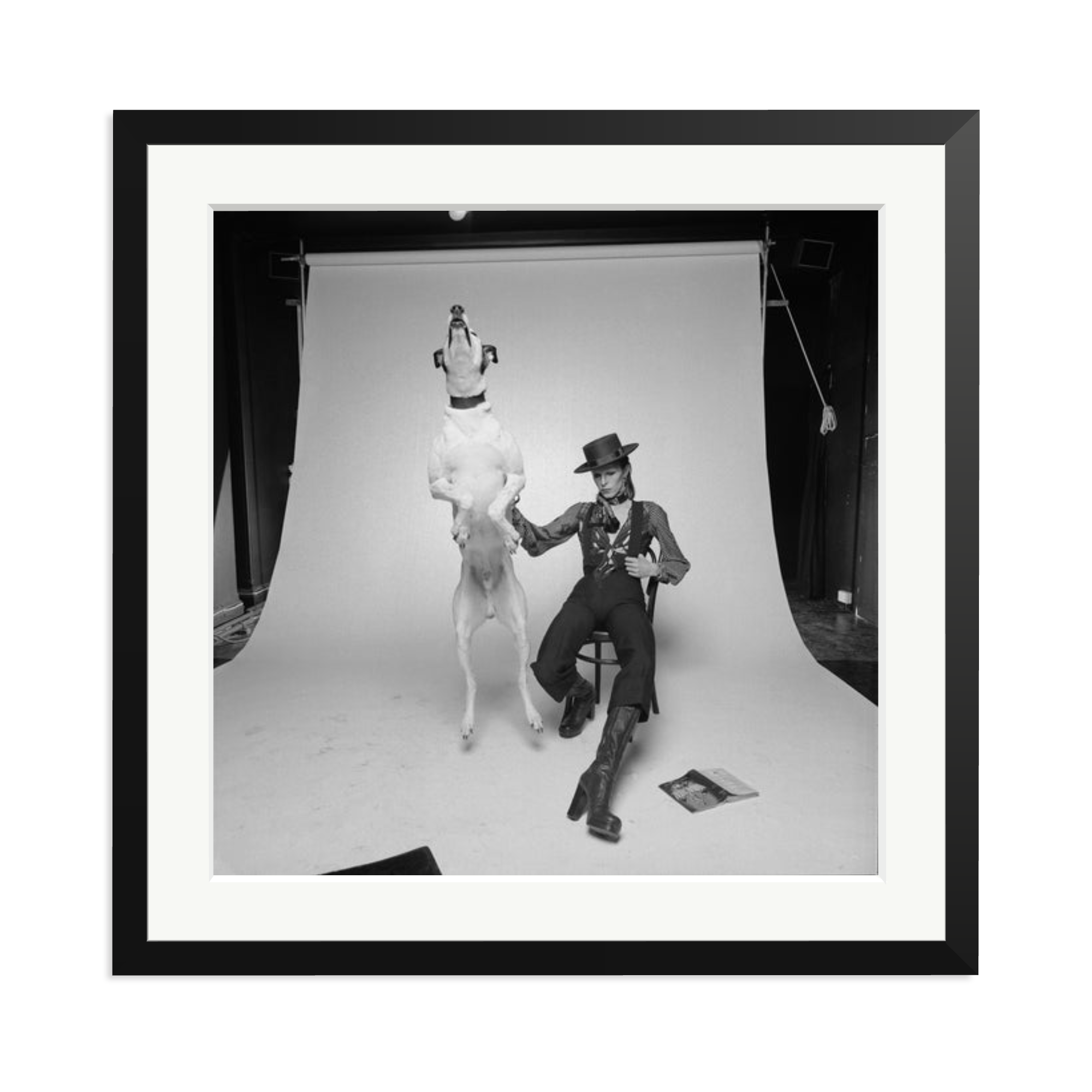 David Bowie Diamond Dog