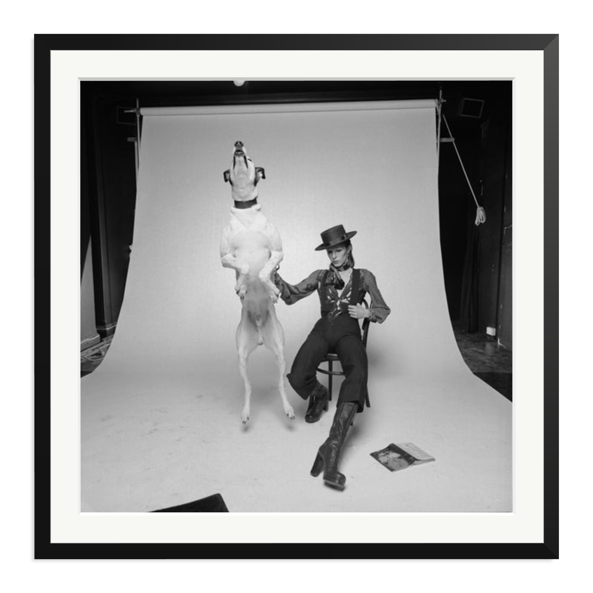 David Bowie Diamond Dog