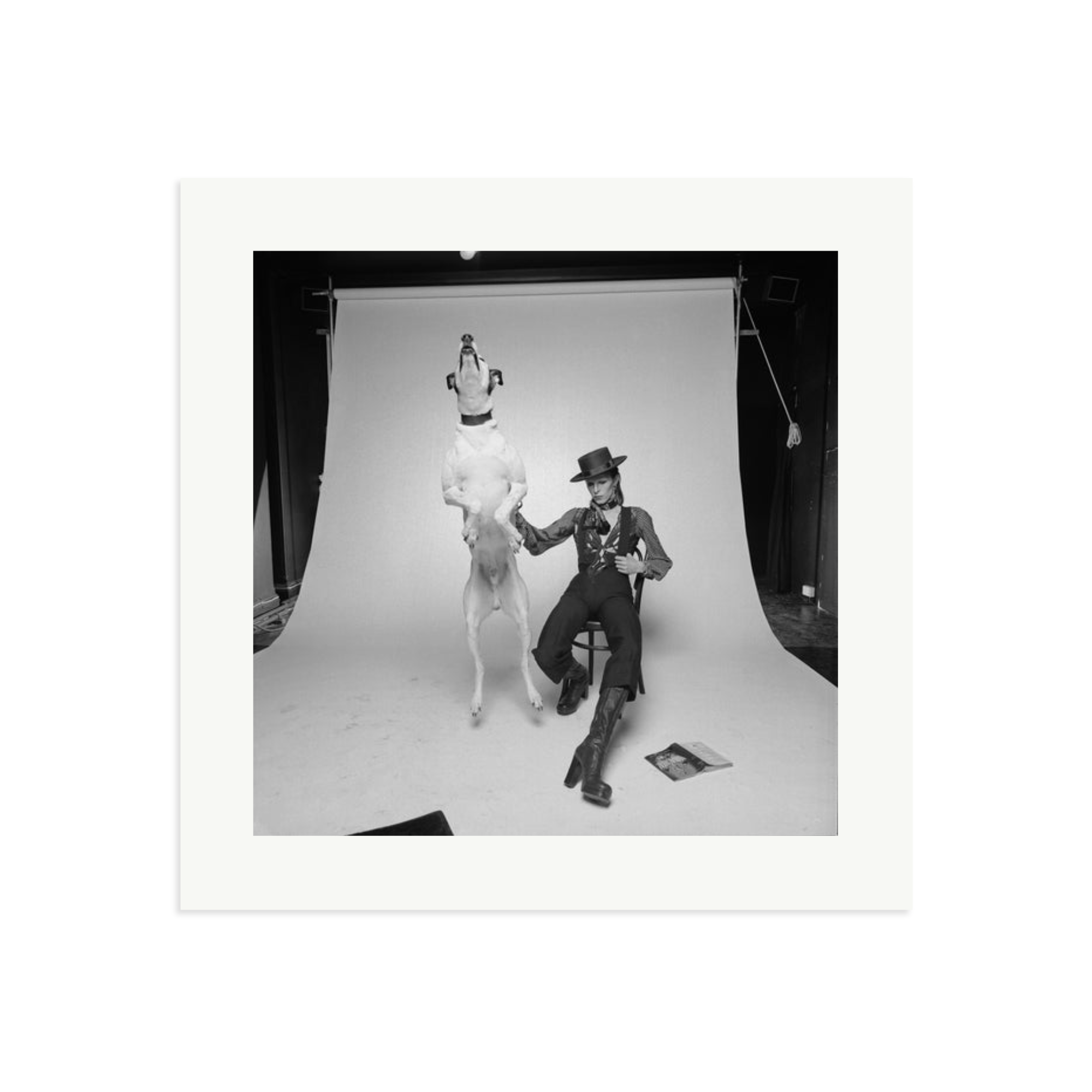 David Bowie Diamond Dog