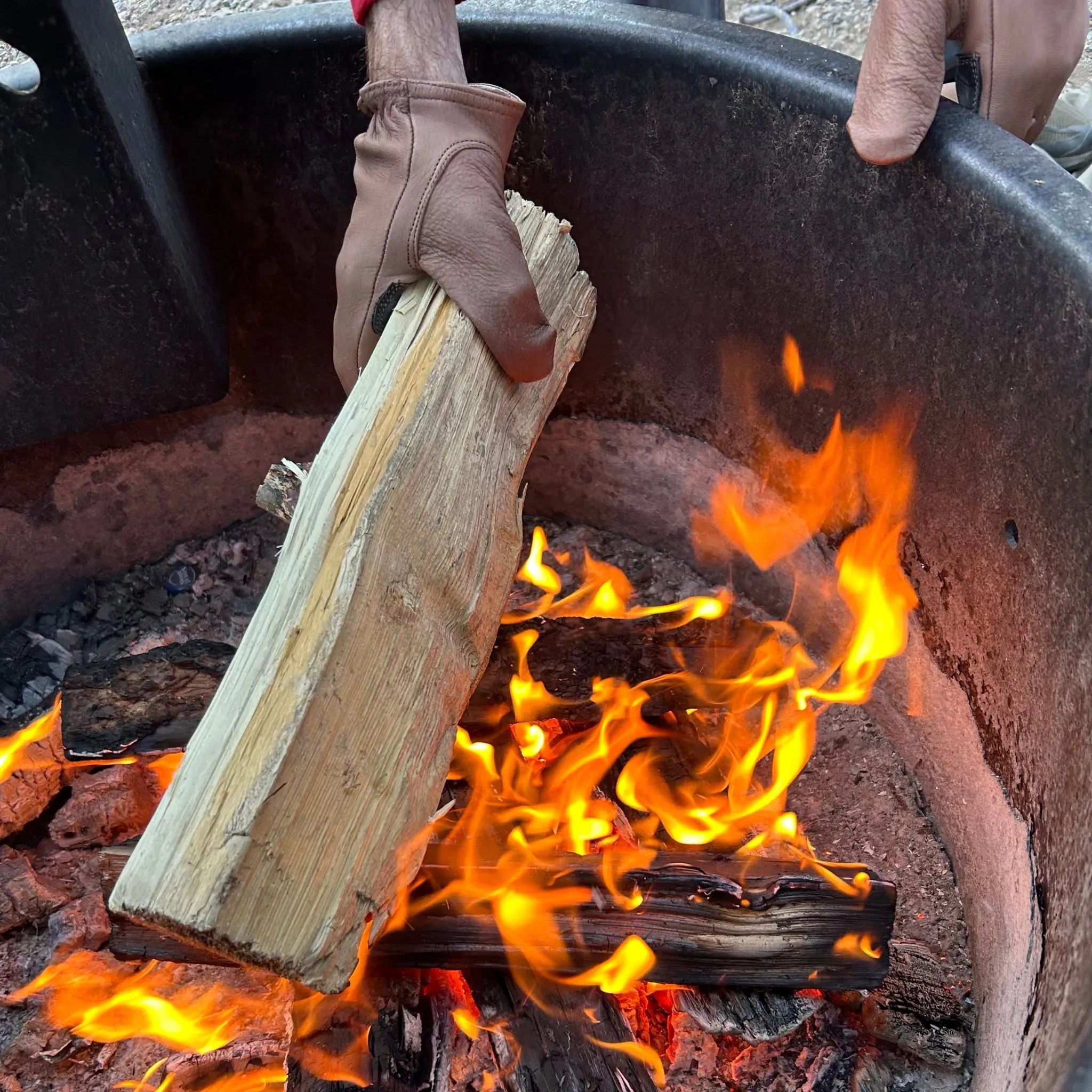 Deerskin Leather Glove: Signature Ranching: Brown/Black - Paranoid Ranch