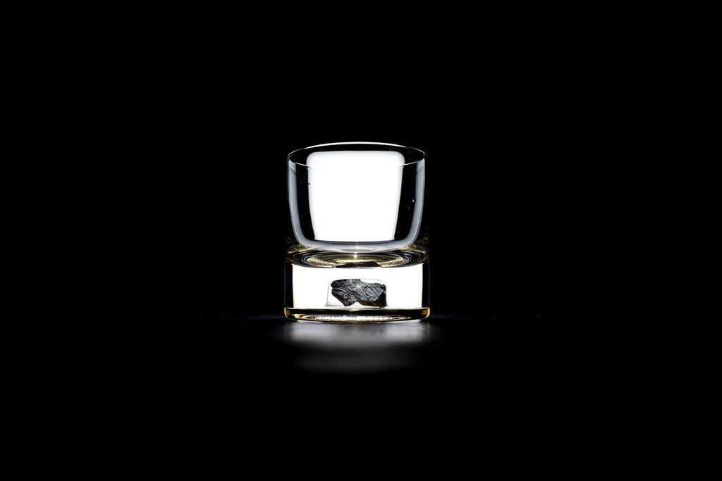 Dinosaur Bone Shard Tumbler - Set of 2 - Paranoid Ranch