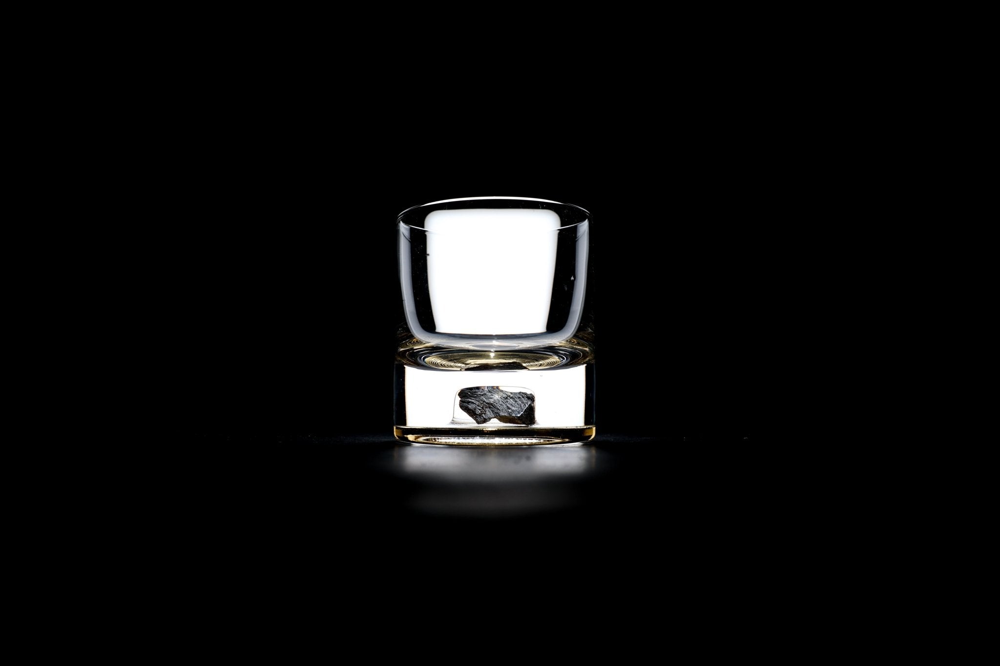 Dinosaur Bone Shard Tumbler - Set of 2 - Paranoid Ranch