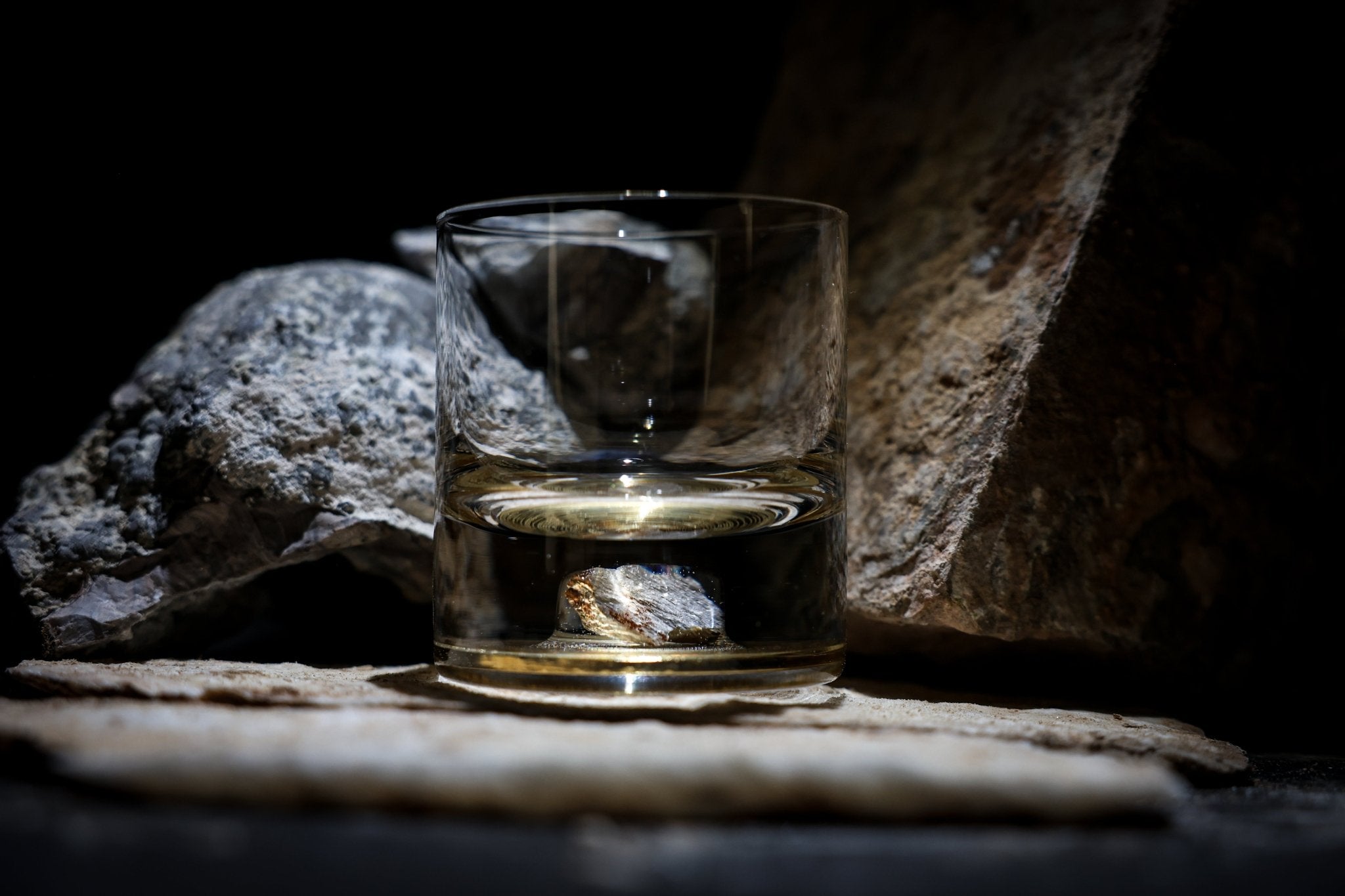 Dinosaur Bone Shard Tumbler - Set of 2 - Paranoid Ranch
