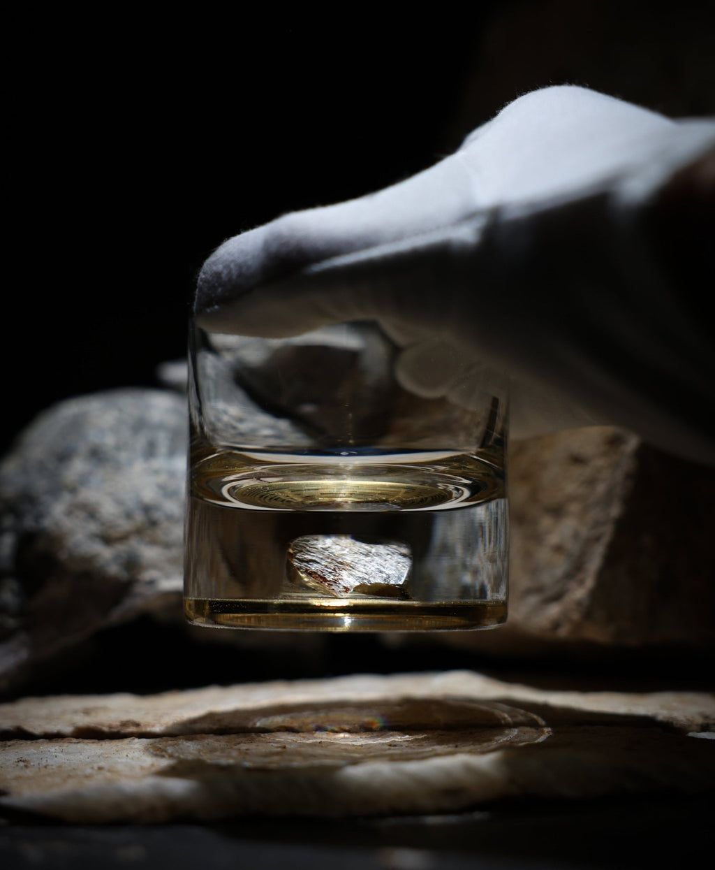 Dinosaur Bone Shard Tumbler - Set of 2 - Paranoid Ranch
