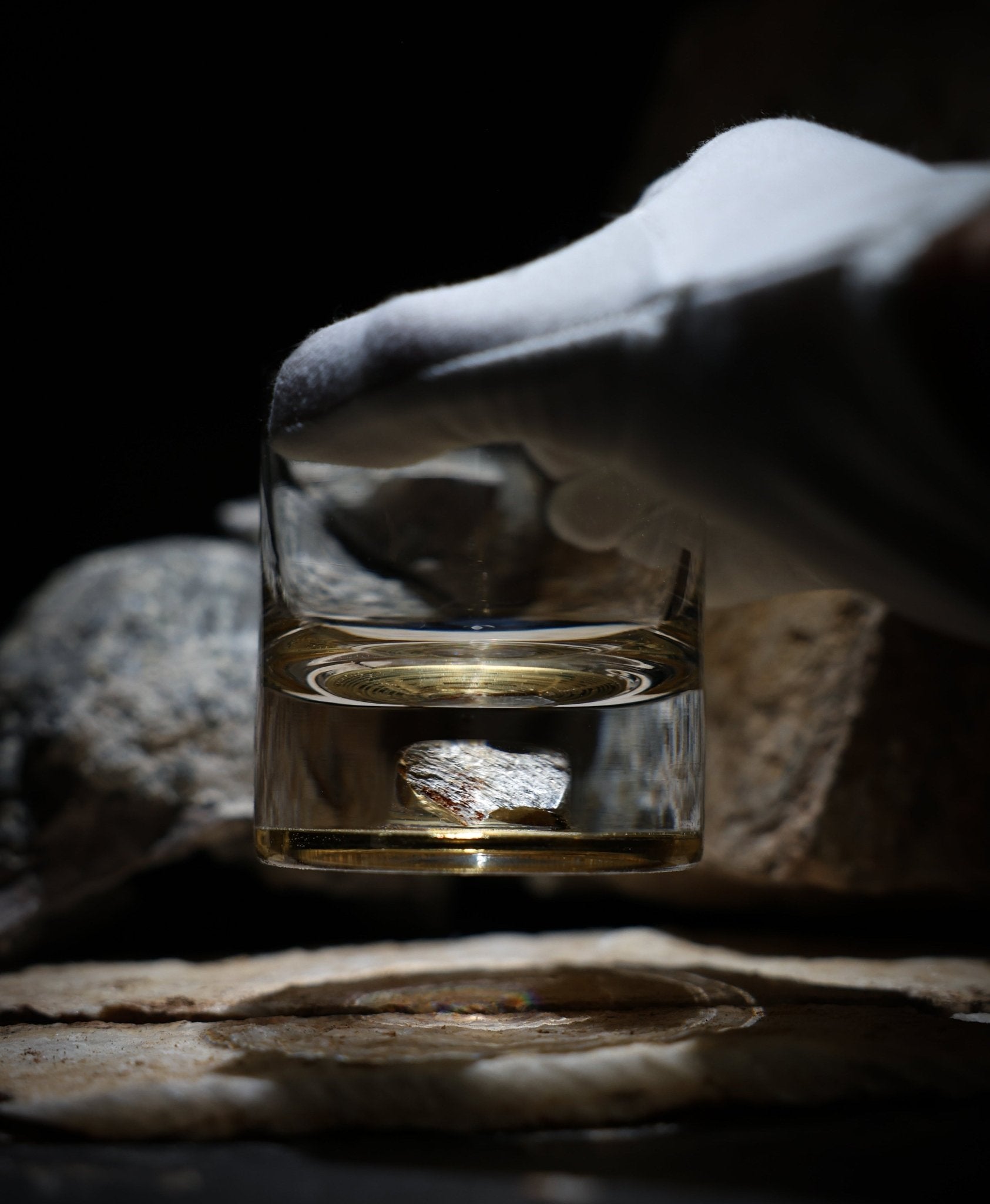 Dinosaur Bone Shard Tumbler - Set of 2 - Paranoid Ranch