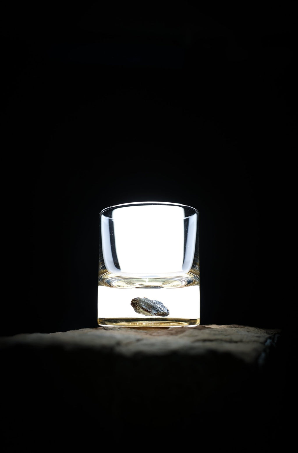 Dinosaur Bone Shard Tumbler - Set of 2 - Paranoid Ranch