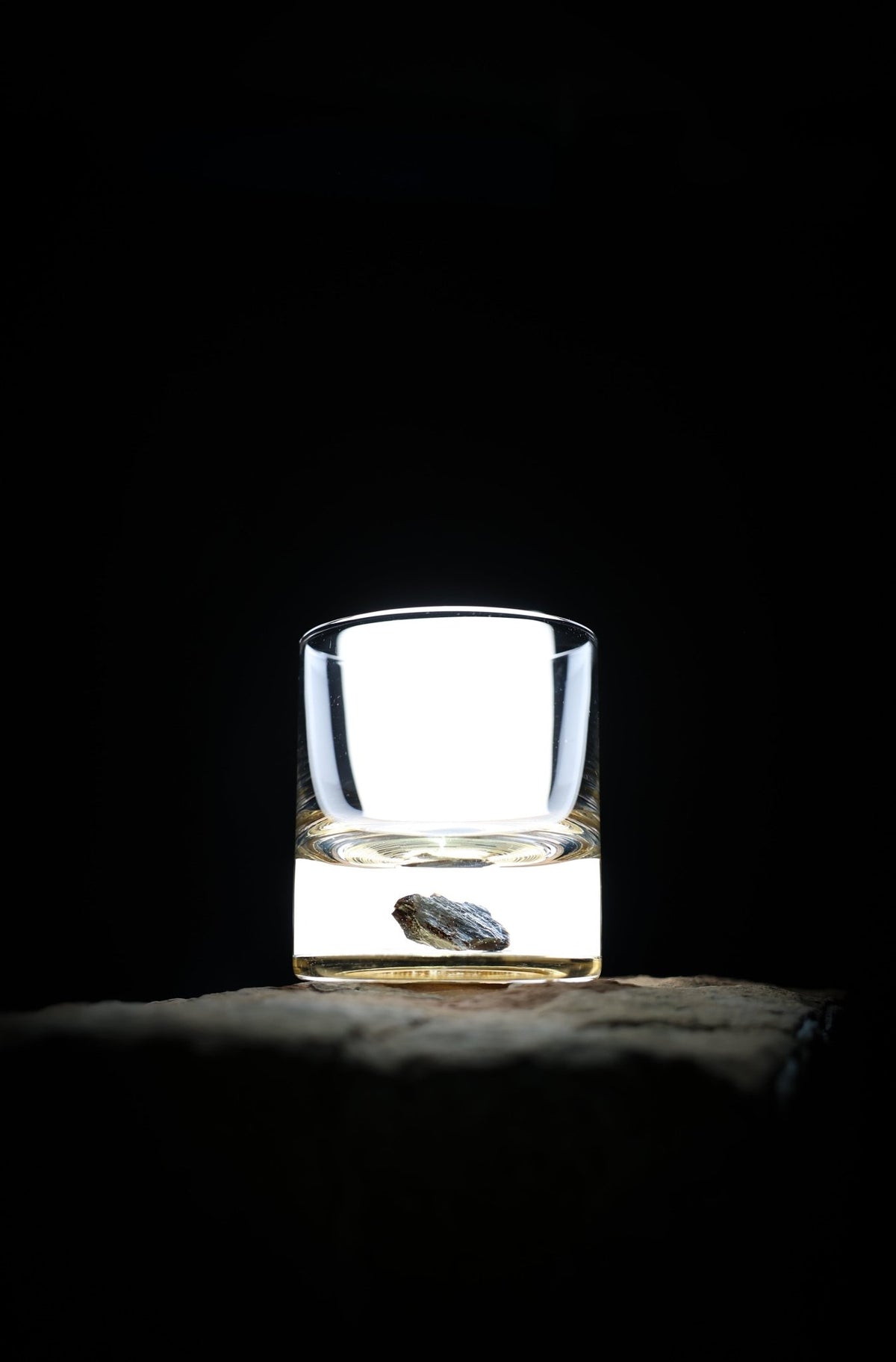 Dinosaur Bone Shard Tumbler - Set of 2 - Paranoid Ranch