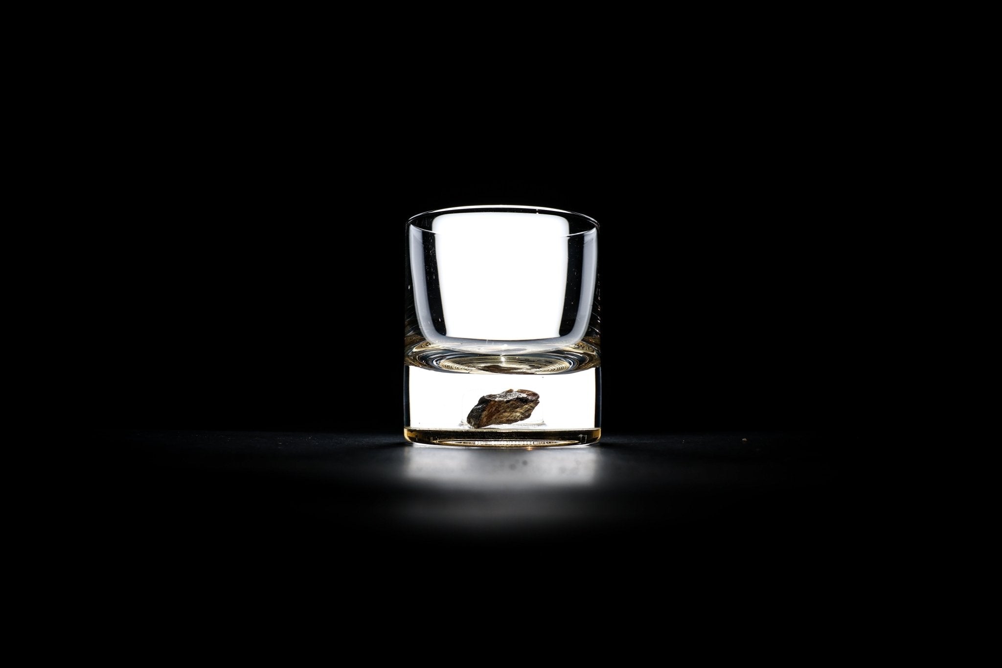 Dinosaur Bone Shard Tumbler - Set of 2 - Paranoid Ranch