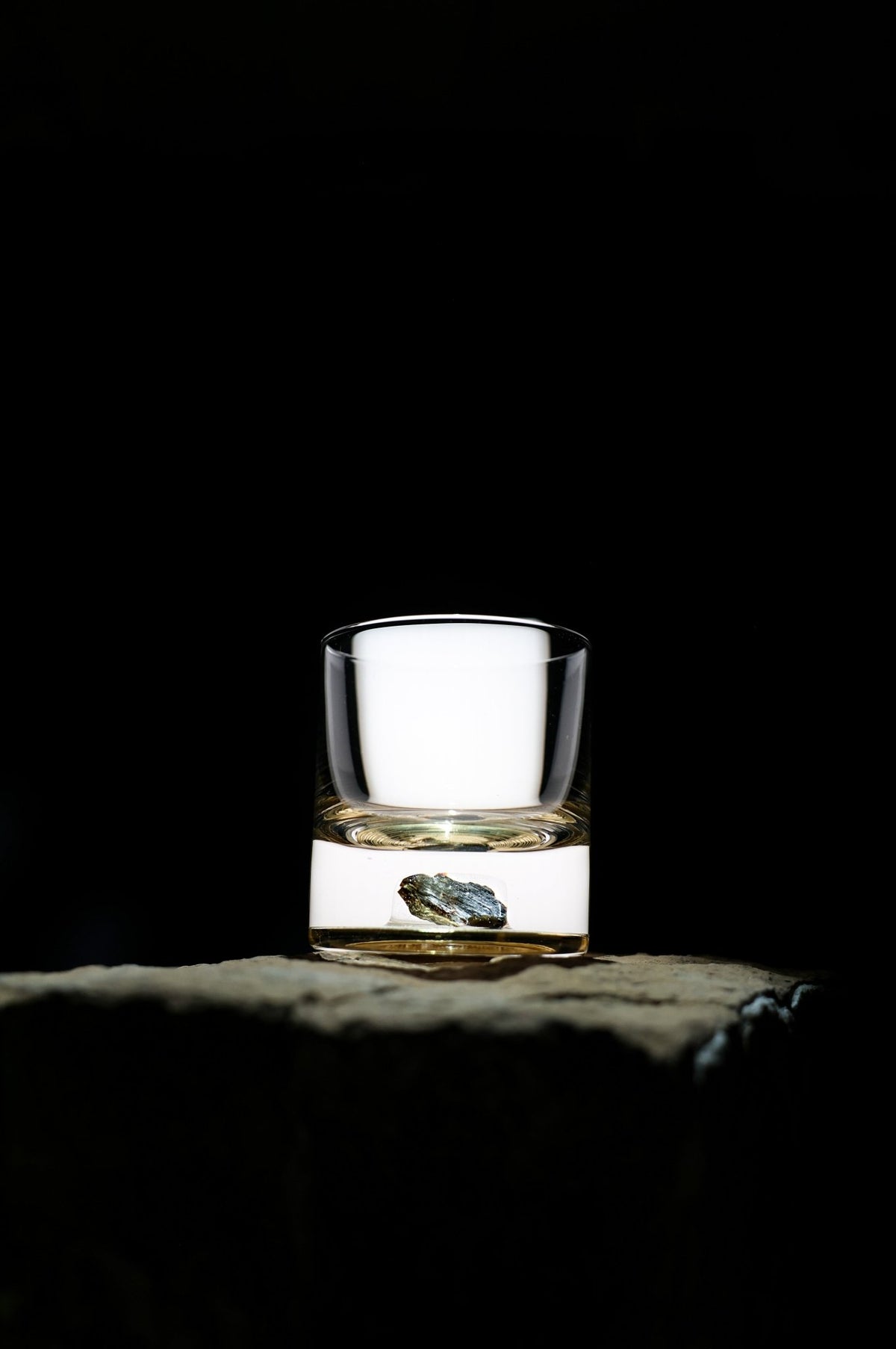 Dinosaur Bone Shard Tumbler - Set of 2 - Paranoid Ranch
