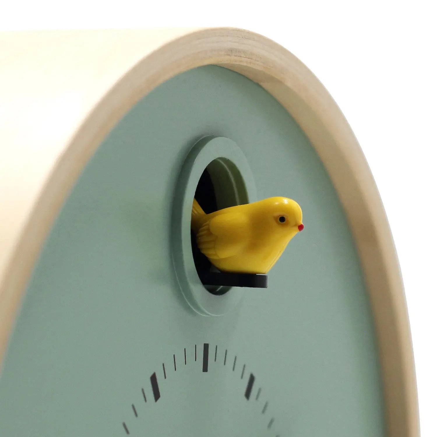 Dot Sage Cuckoo Clock - Paranoid Ranch