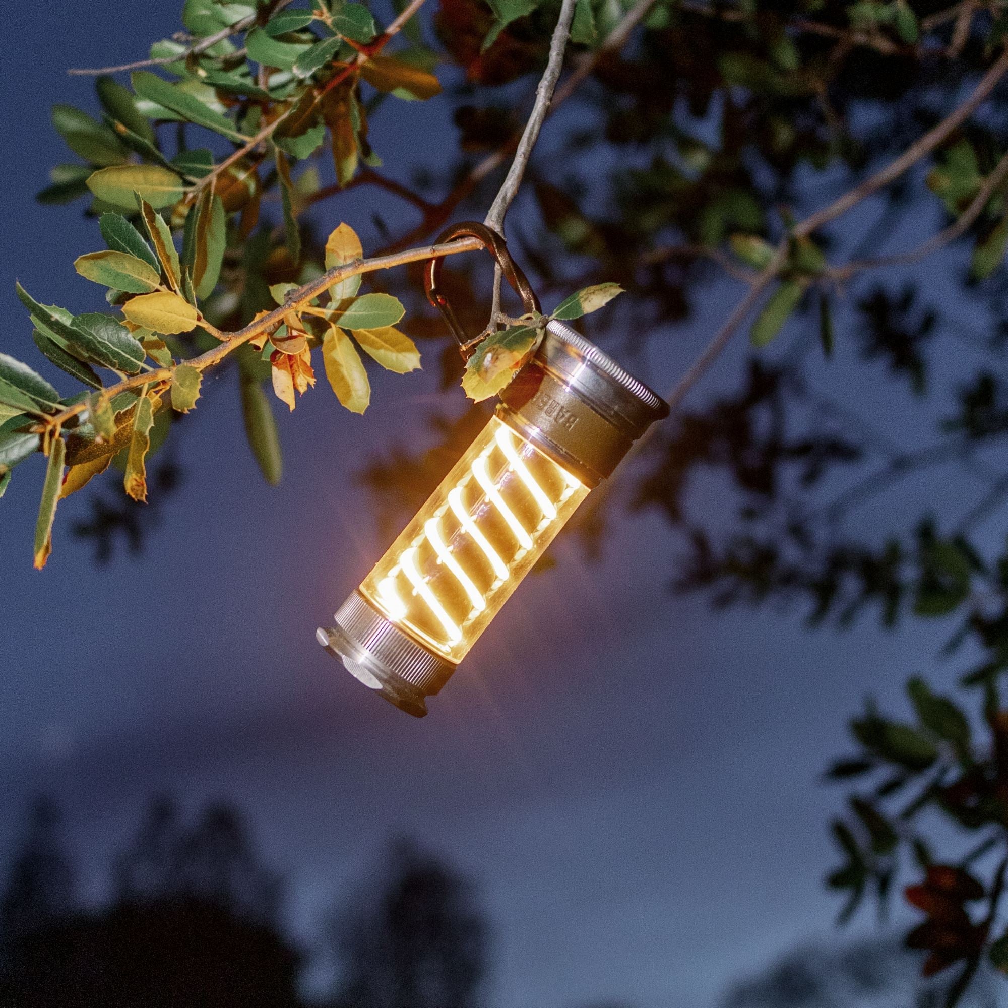 Edison Light Stick - Paranoid Ranch