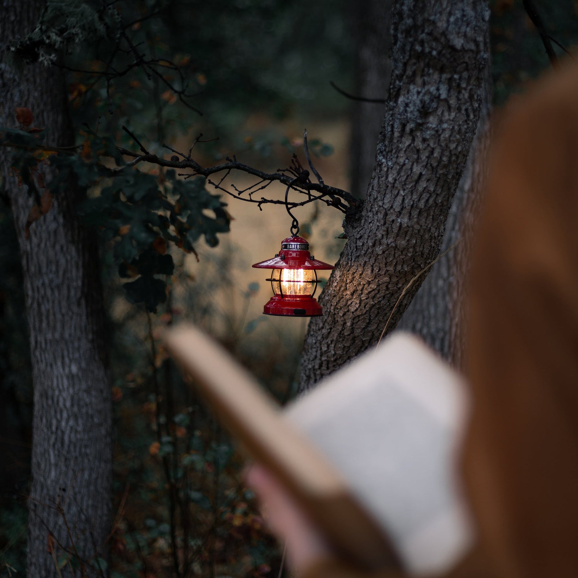 Edison Mini Lantern - Paranoid Ranch