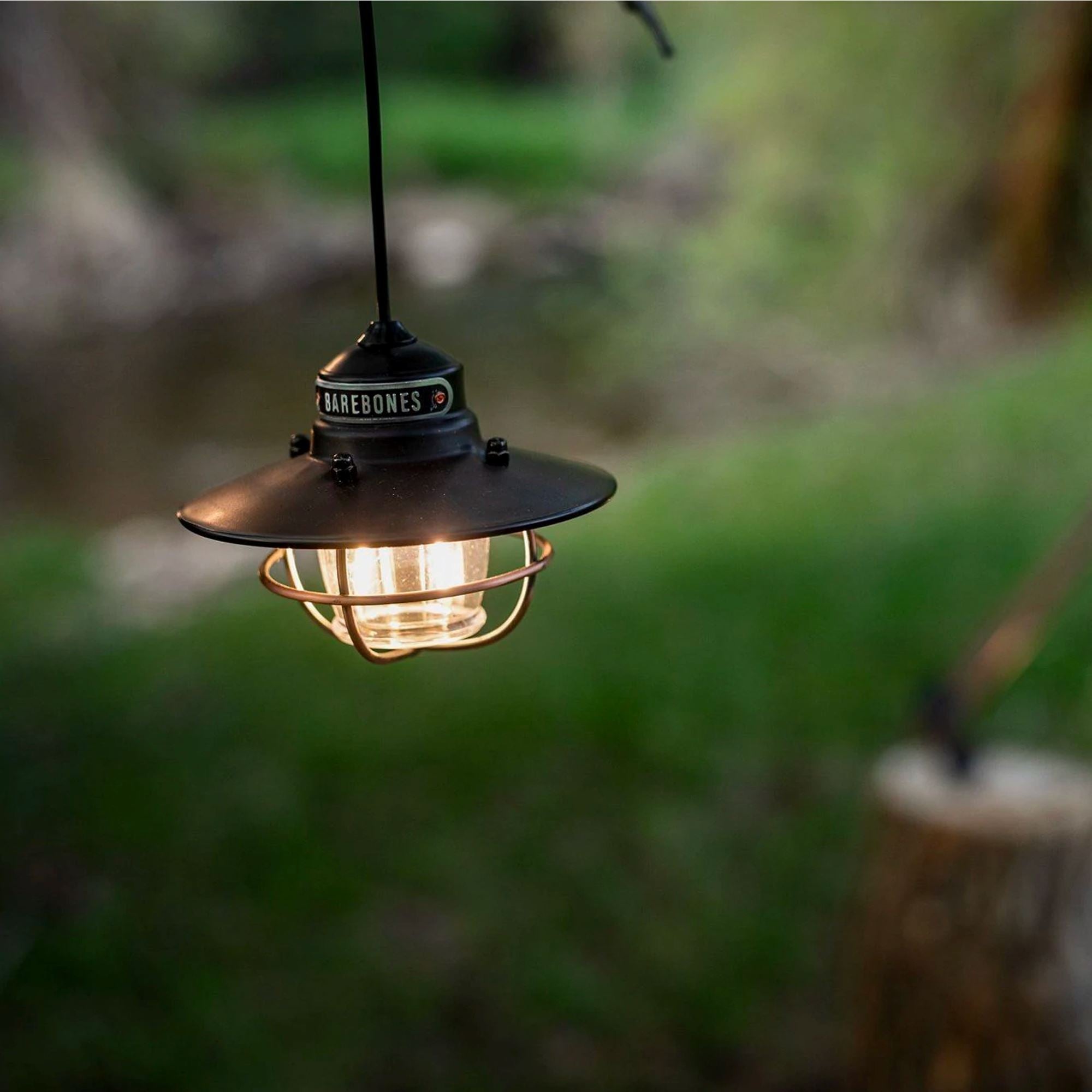 Edison Pendant Light - Paranoid Ranch