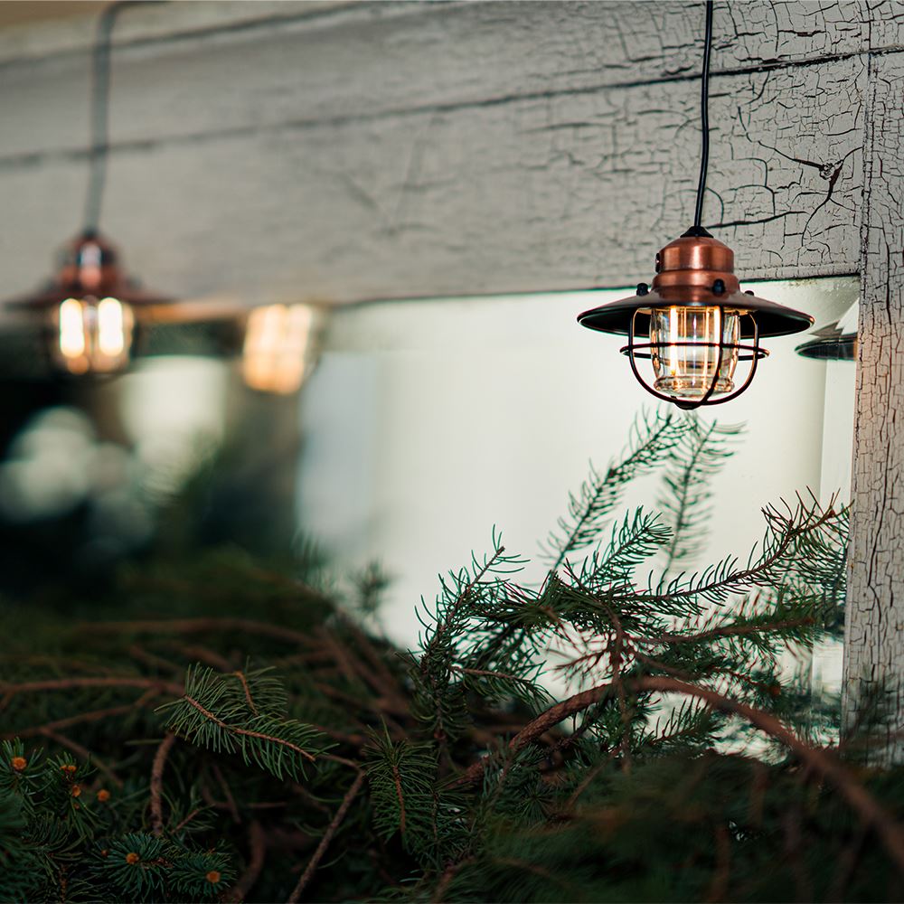 Edison Pendant Light - Paranoid Ranch