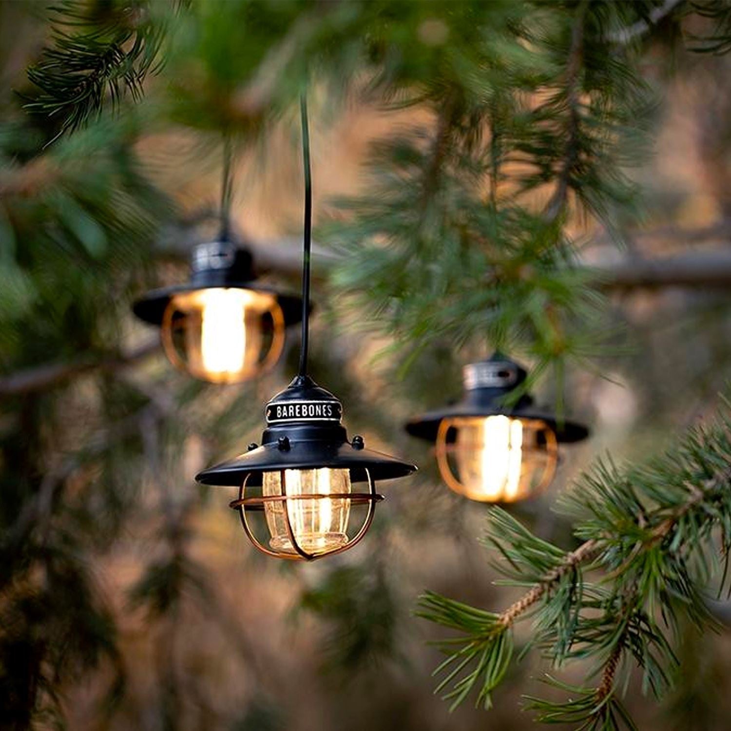 Edison Pendant String Lights - Paranoid Ranch