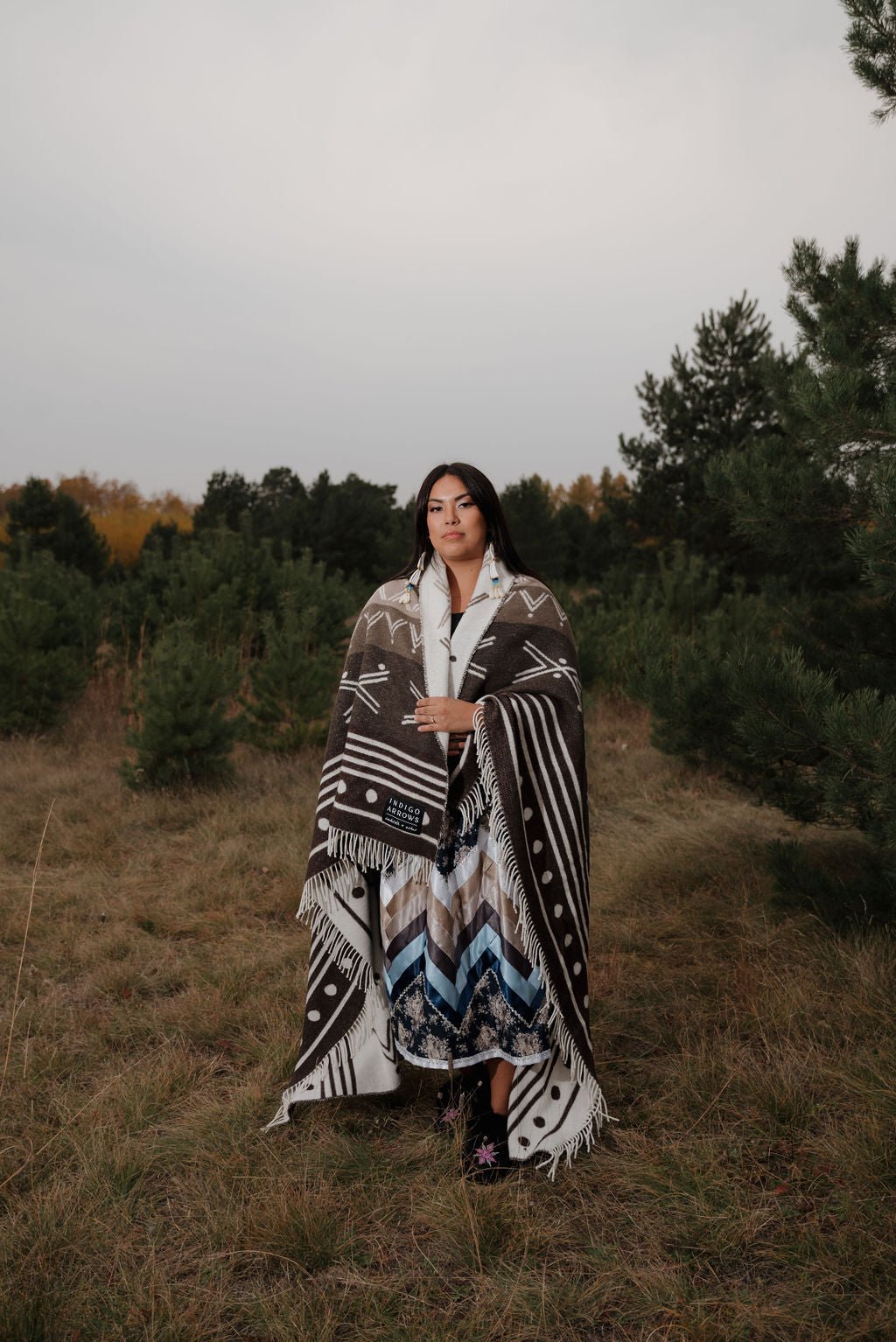 Elements Earth - Paranoid Ranch