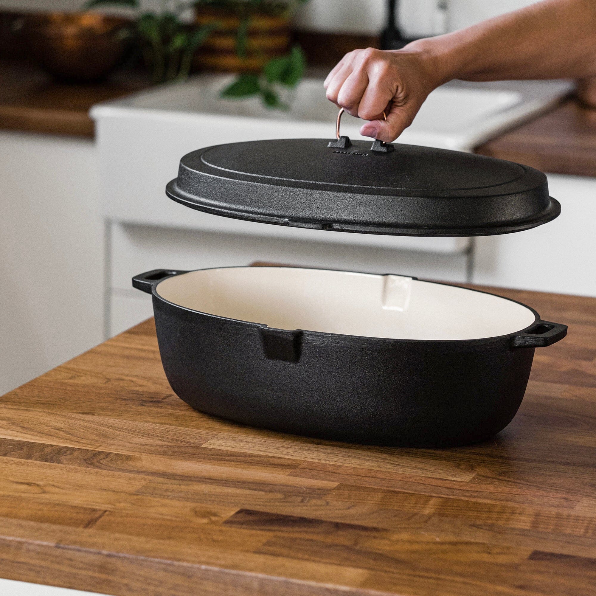 Enamel Lined Cast Iron Roaster - Paranoid Ranch