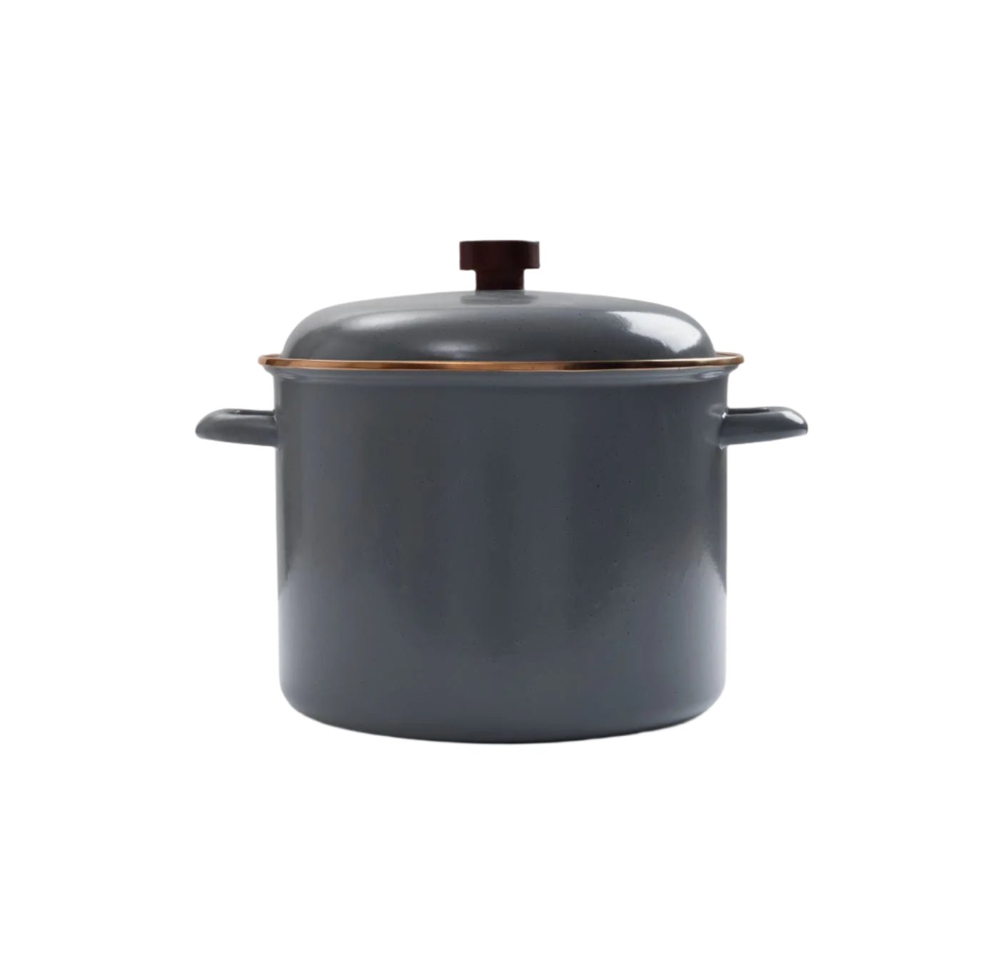 Enamel Stock Pot - Paranoid Ranch