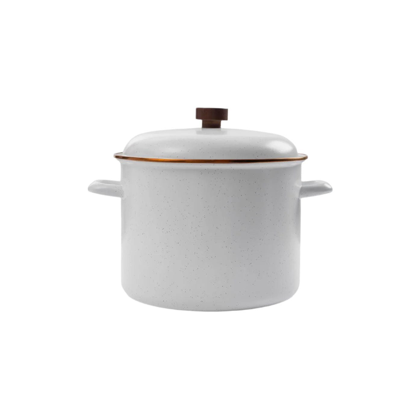 Enamel Stock Pot - Paranoid Ranch