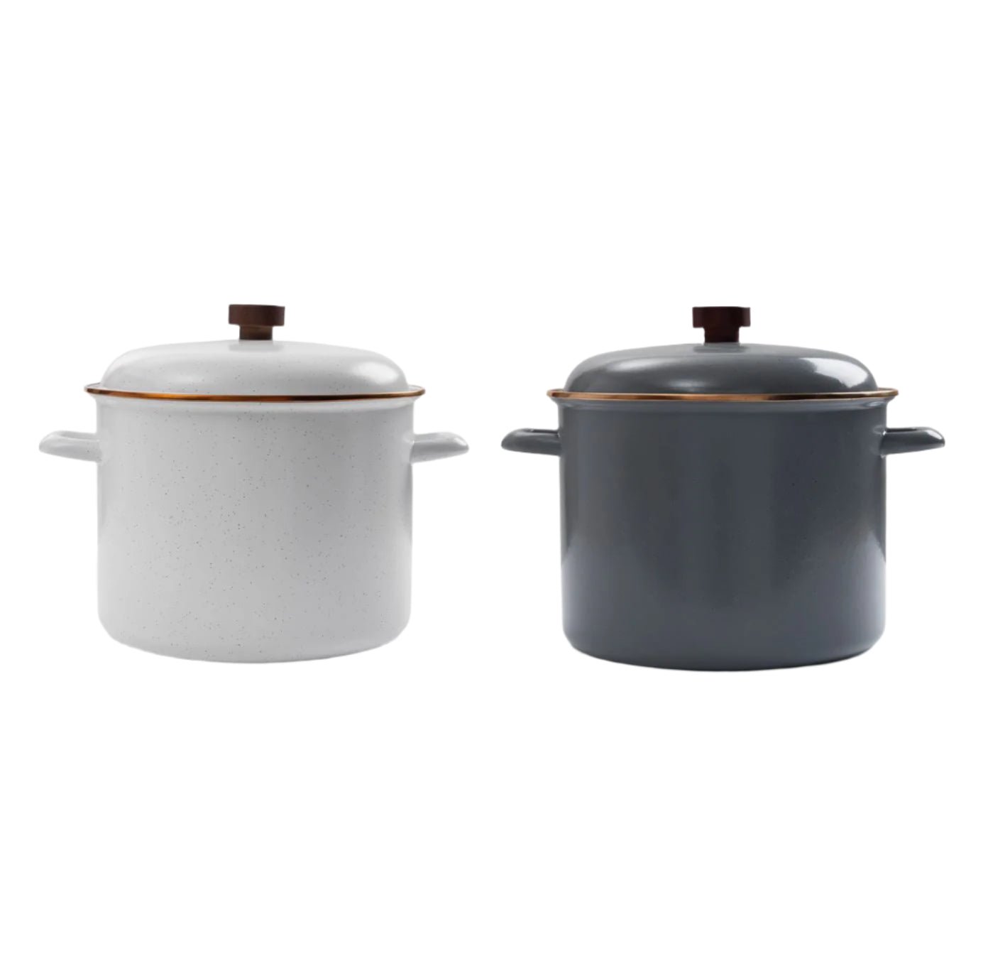 Enamel Stock Pot - Paranoid Ranch