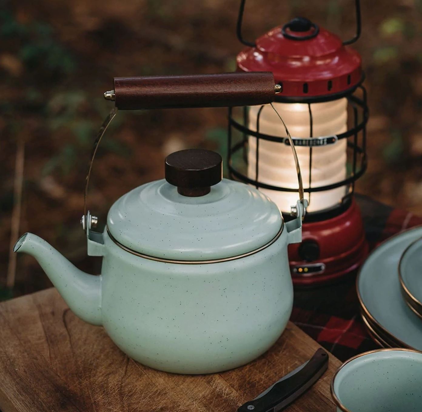Enamel Teapot - Paranoid Ranch