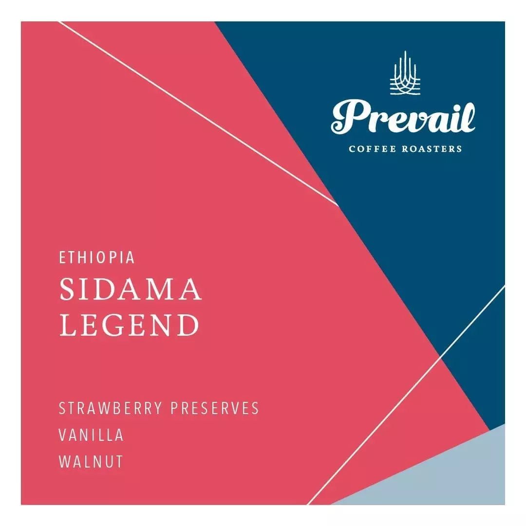 Ethiopia | Sidama Legend - Paranoid Ranch