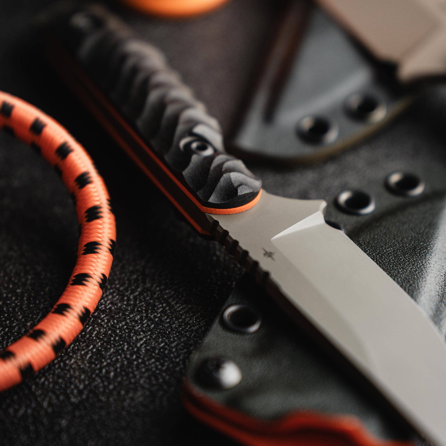 Field 3.0 - Paranoid Ranch