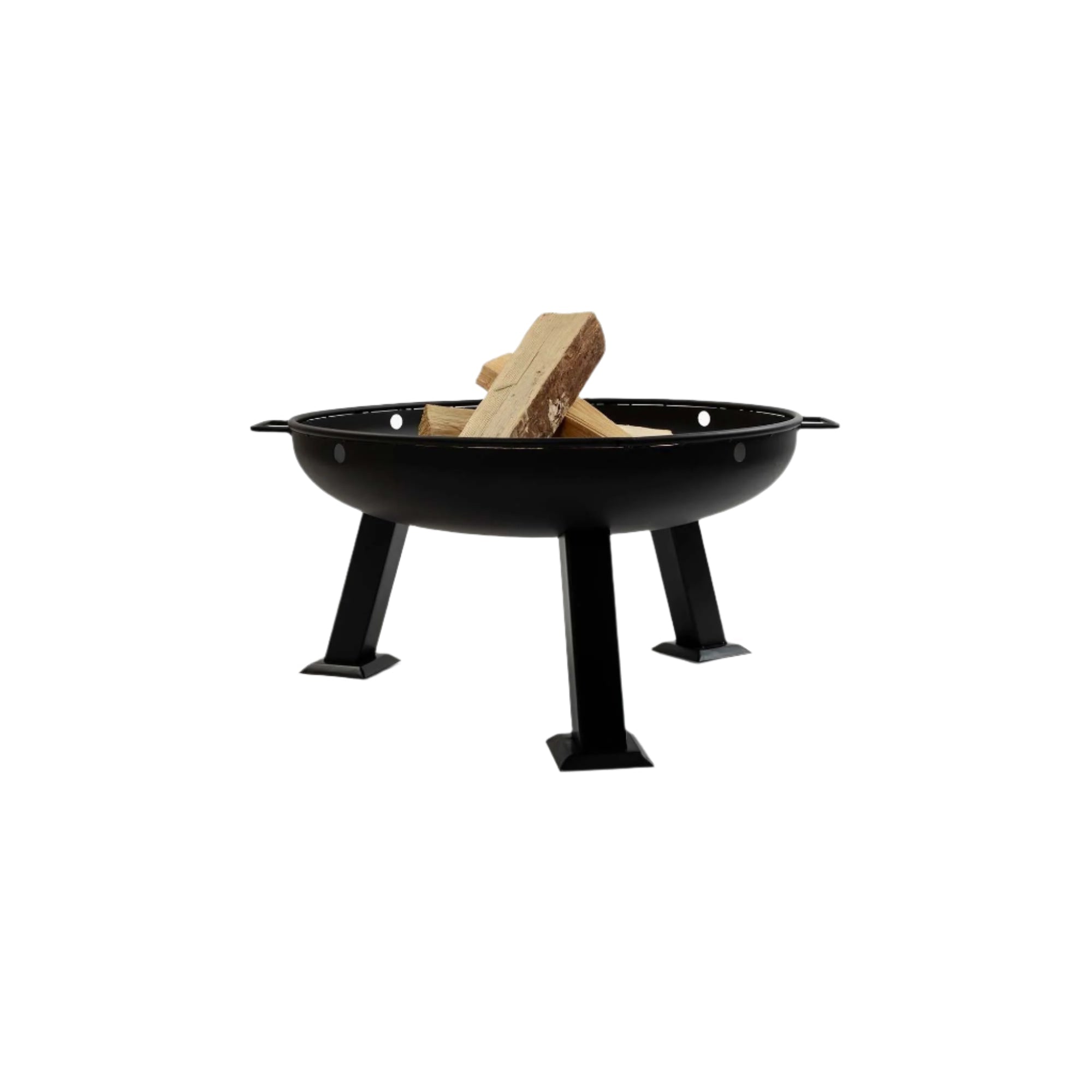 Fire Pit - Paranoid Ranch