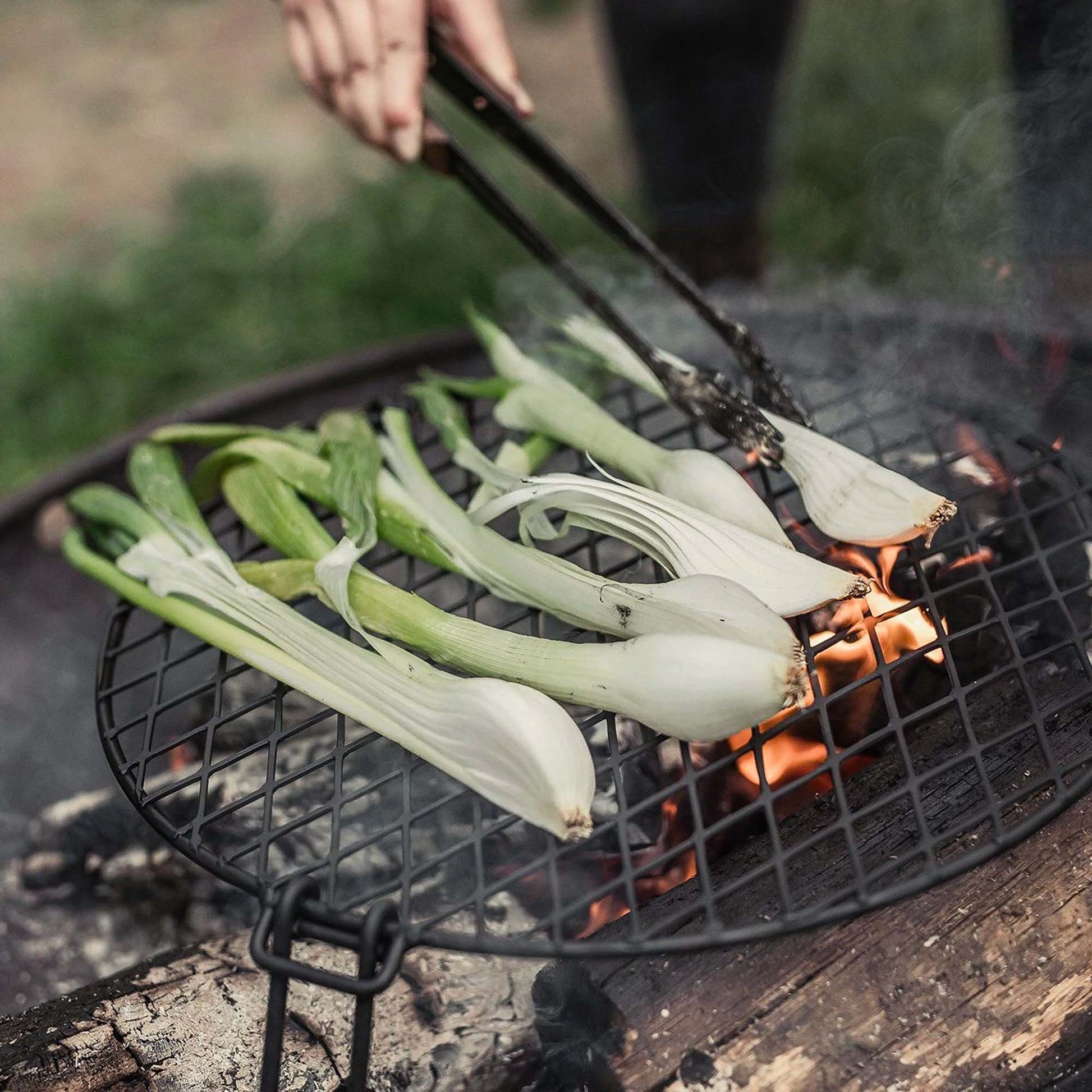 Fire Pit Grill Grate - Circular - Paranoid Ranch