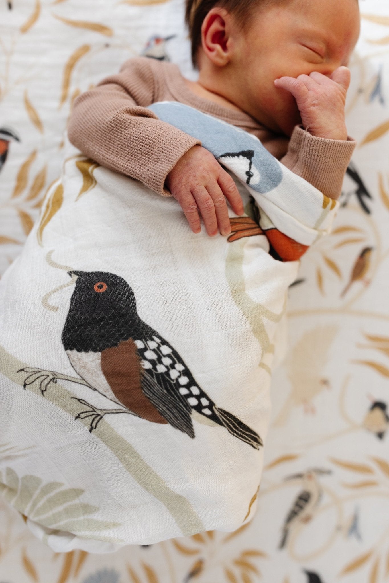 For the Birds Swaddle - Paranoid Ranch