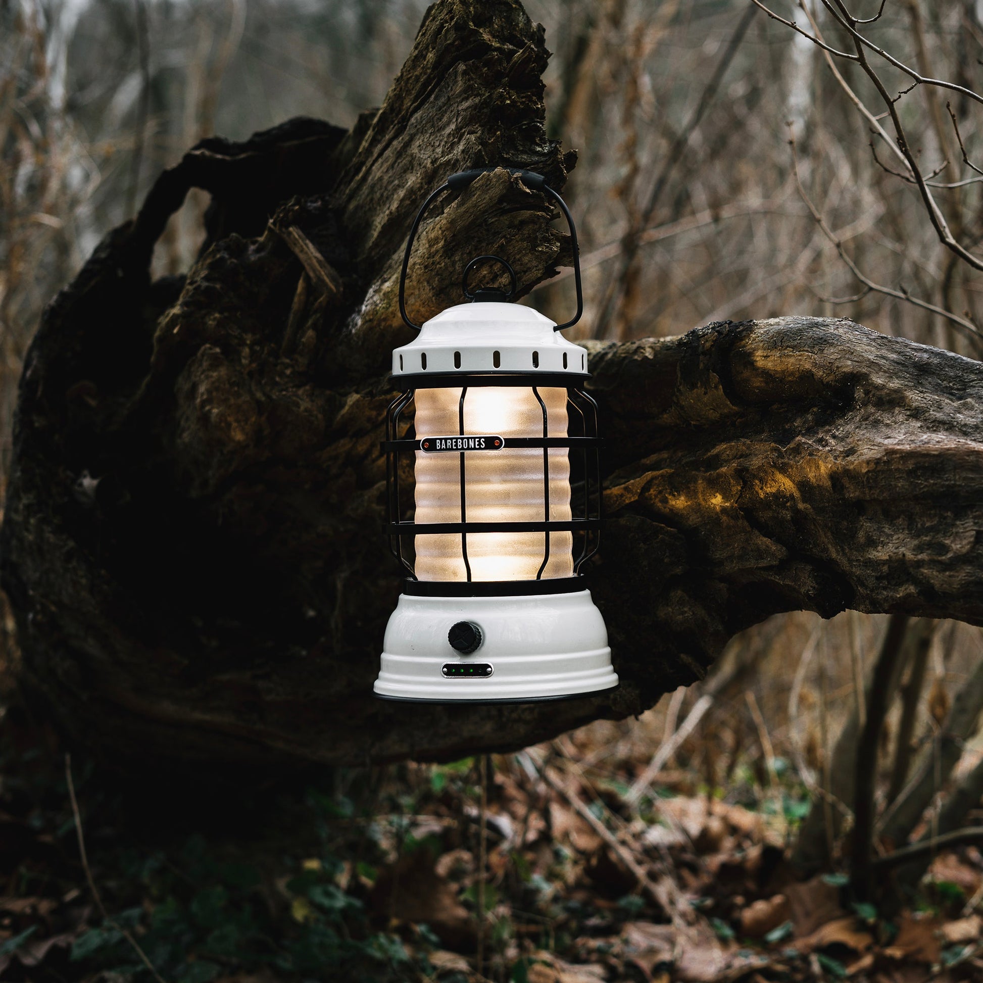 Forest Lantern - Paranoid Ranch