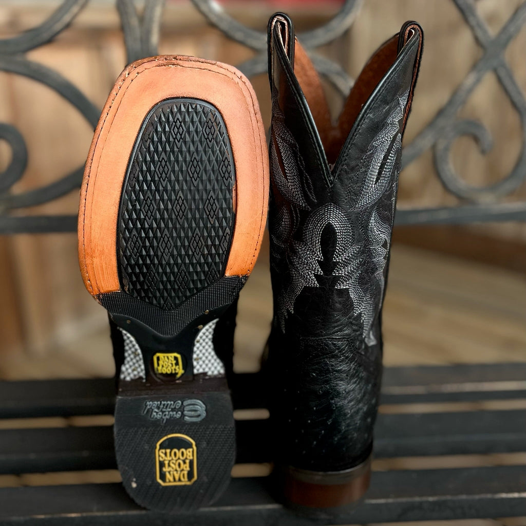 Full Quill Ostrich | Dan Post Mens - Paranoid Ranch