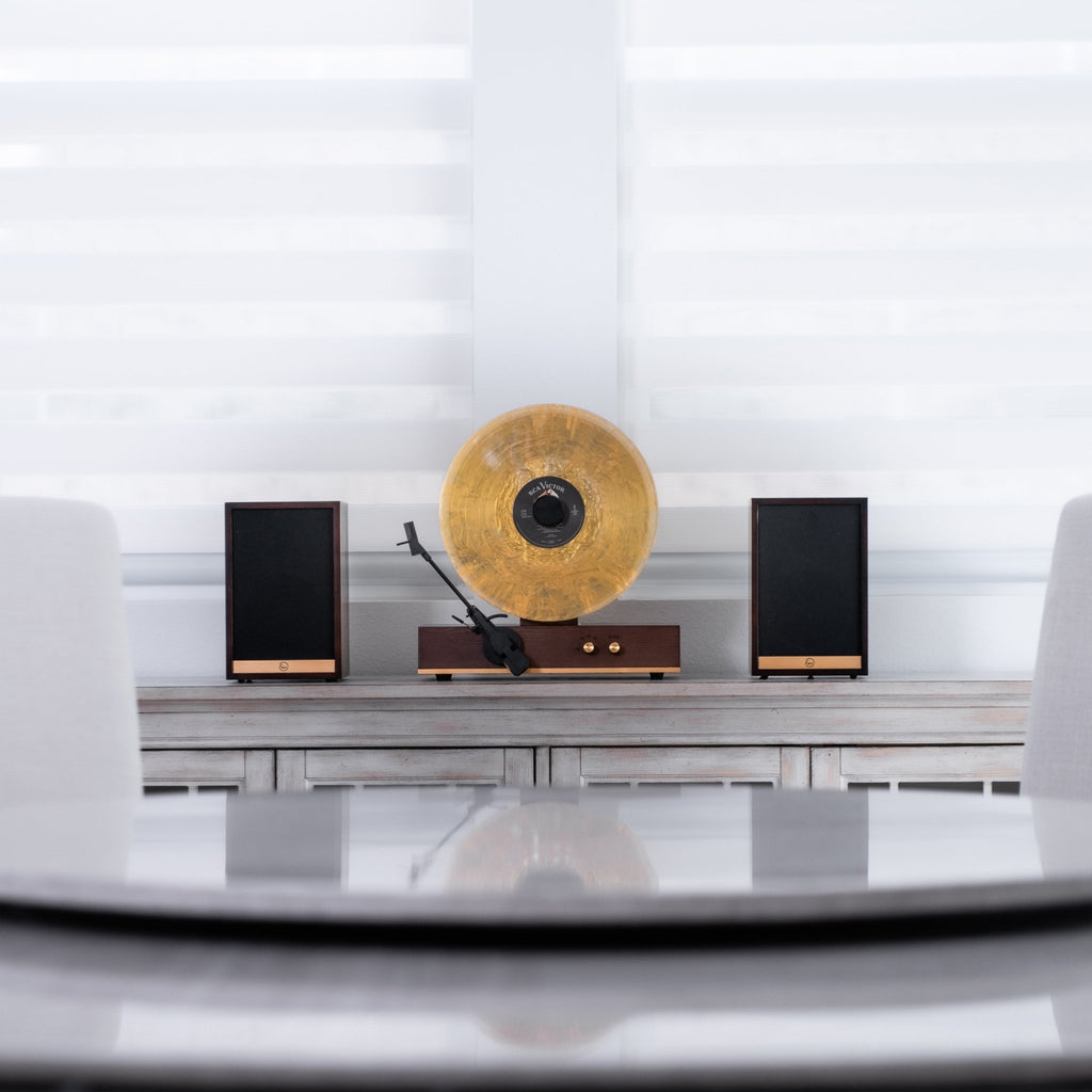 Fuse Audio GLD Vertical Vinyl Record Player - Paranoid Ranch